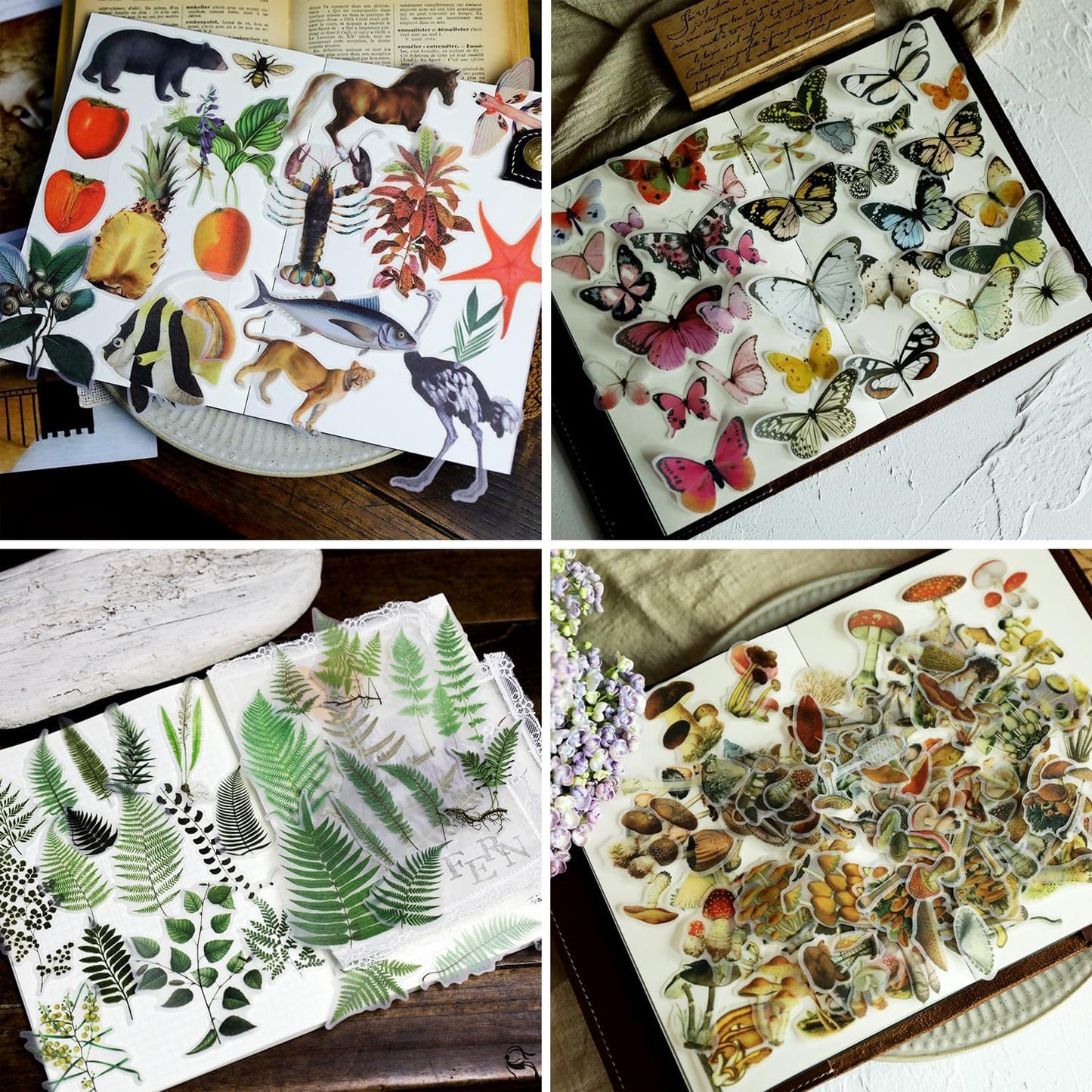 Vintage Vellum Stickers Floral Plants Elements Scrapbooking Supplies Flowers Botanic Natural Translucent Paper Self-Adhesive Junk-Journal Items (All Plants Collection)