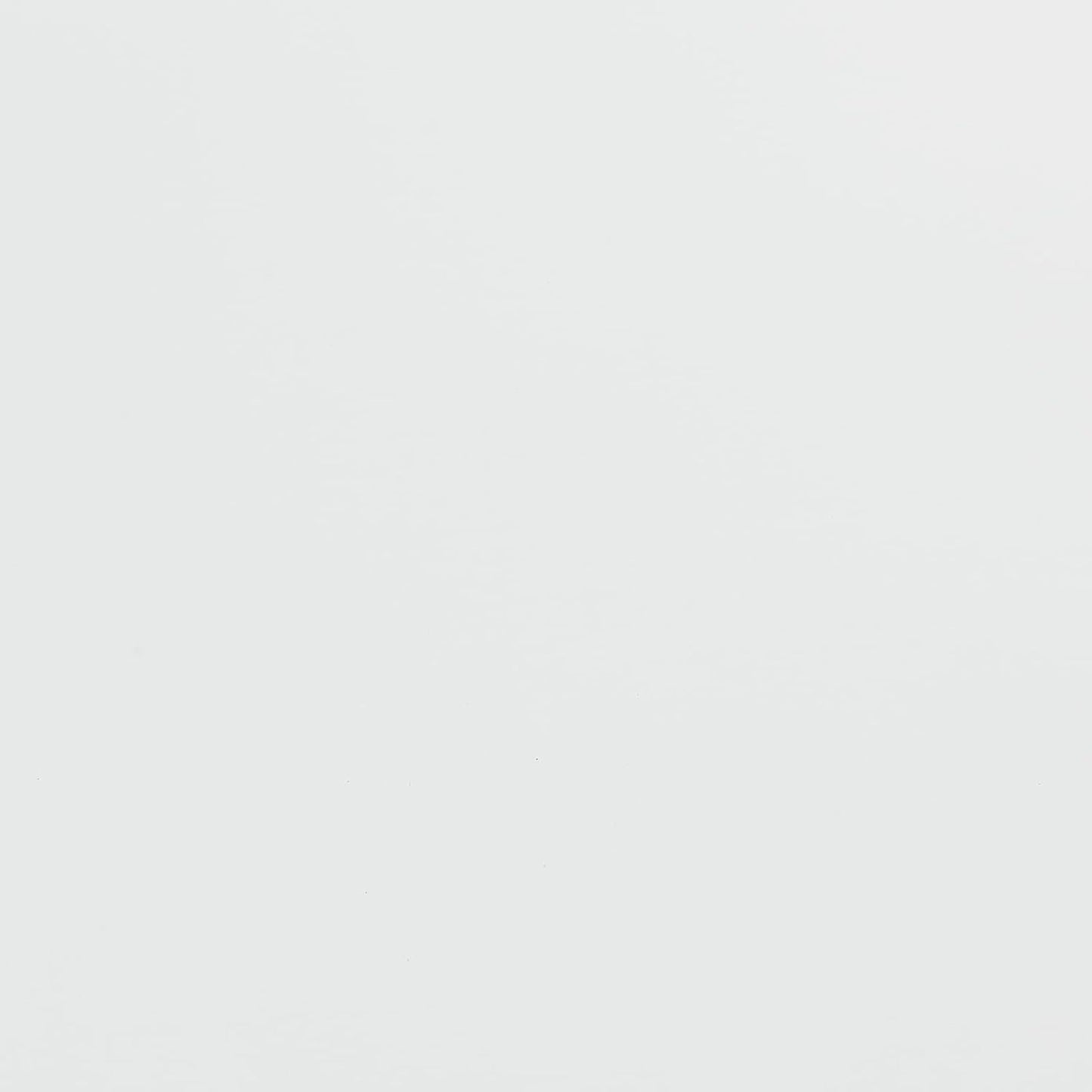 Ant Smart Adhesive Permanent Vinyl Compatible with Cricut Explore and Maker Series Without Cutting Mats, Create DIY Projects, Decals, Stickers & More (White, 13inchx10ft)