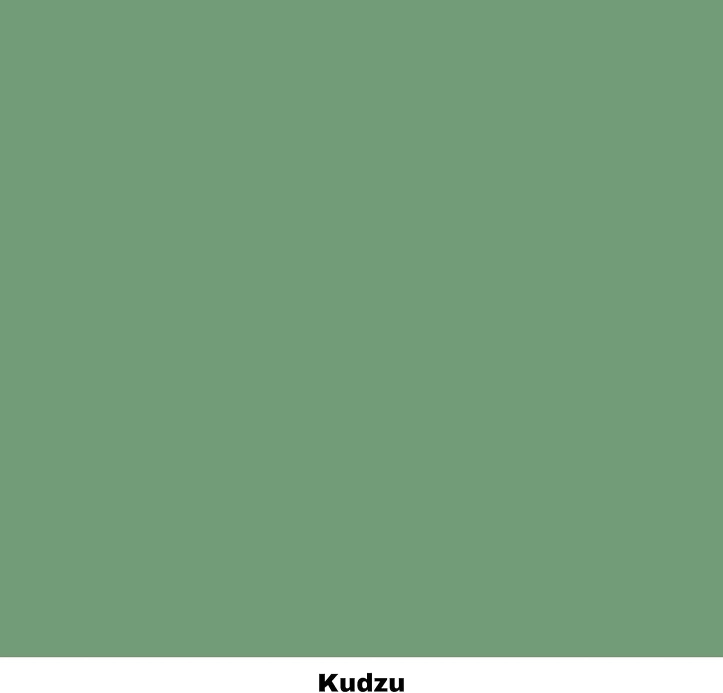 Dixie Belle Paint Company Chalk Finish Furniture Paint - Kudzu (1 Gallon - 128oz) - Matte Natural Green Chic Chalk Mineral DIY Furniture Paint