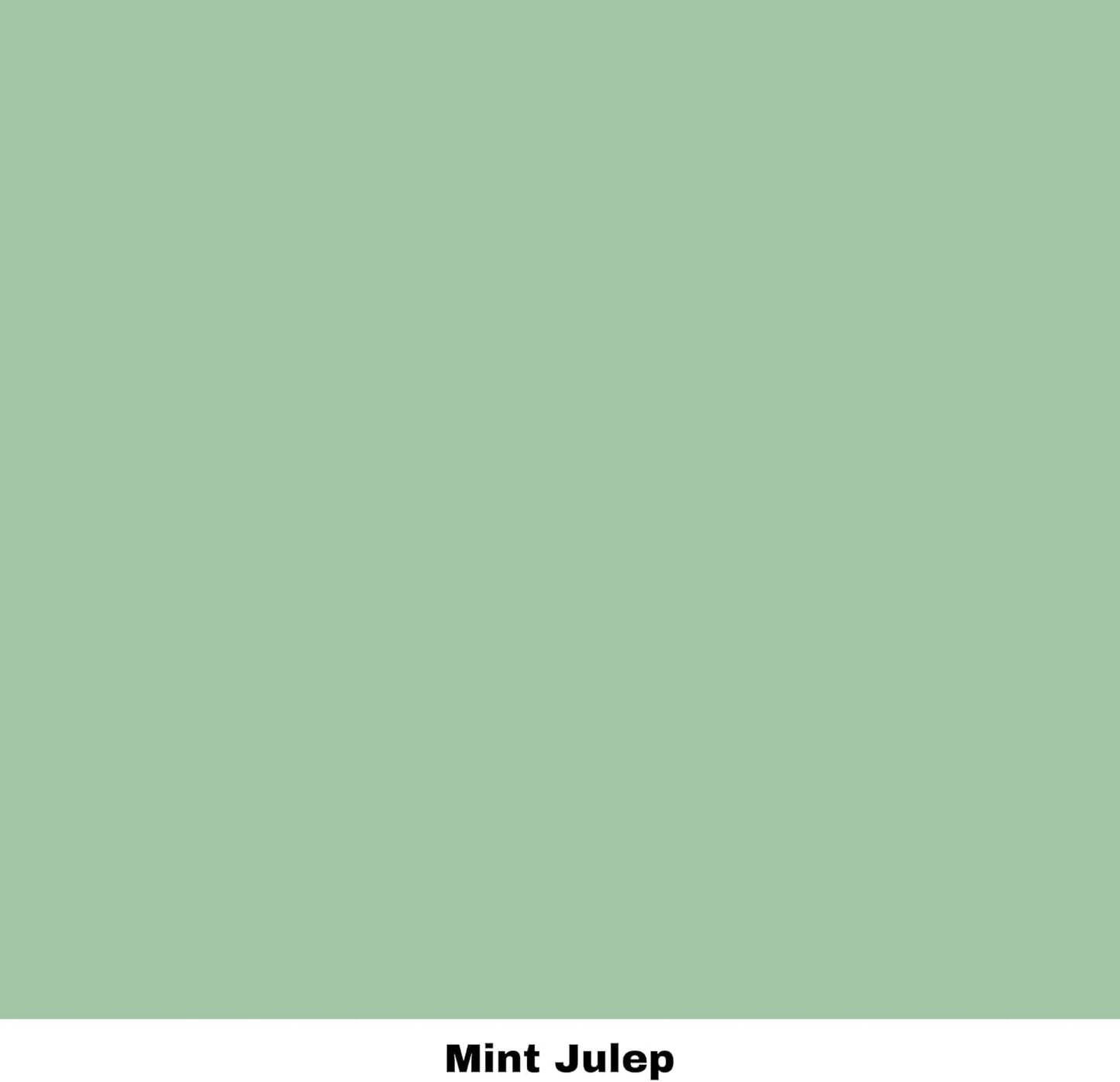 Dixie Belle Paint Company Chalk Finish Furniture Paint - Mint Julep (32oz) - Matte Mint Green Chic Chalk Mineral DIY Furniture Paint
