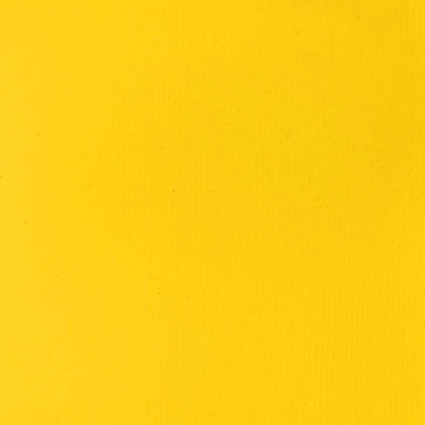 Liquitex BASICS Acrylic Paint, 946ml (32-oz) Jar, Cadmium Yellow Light Hue