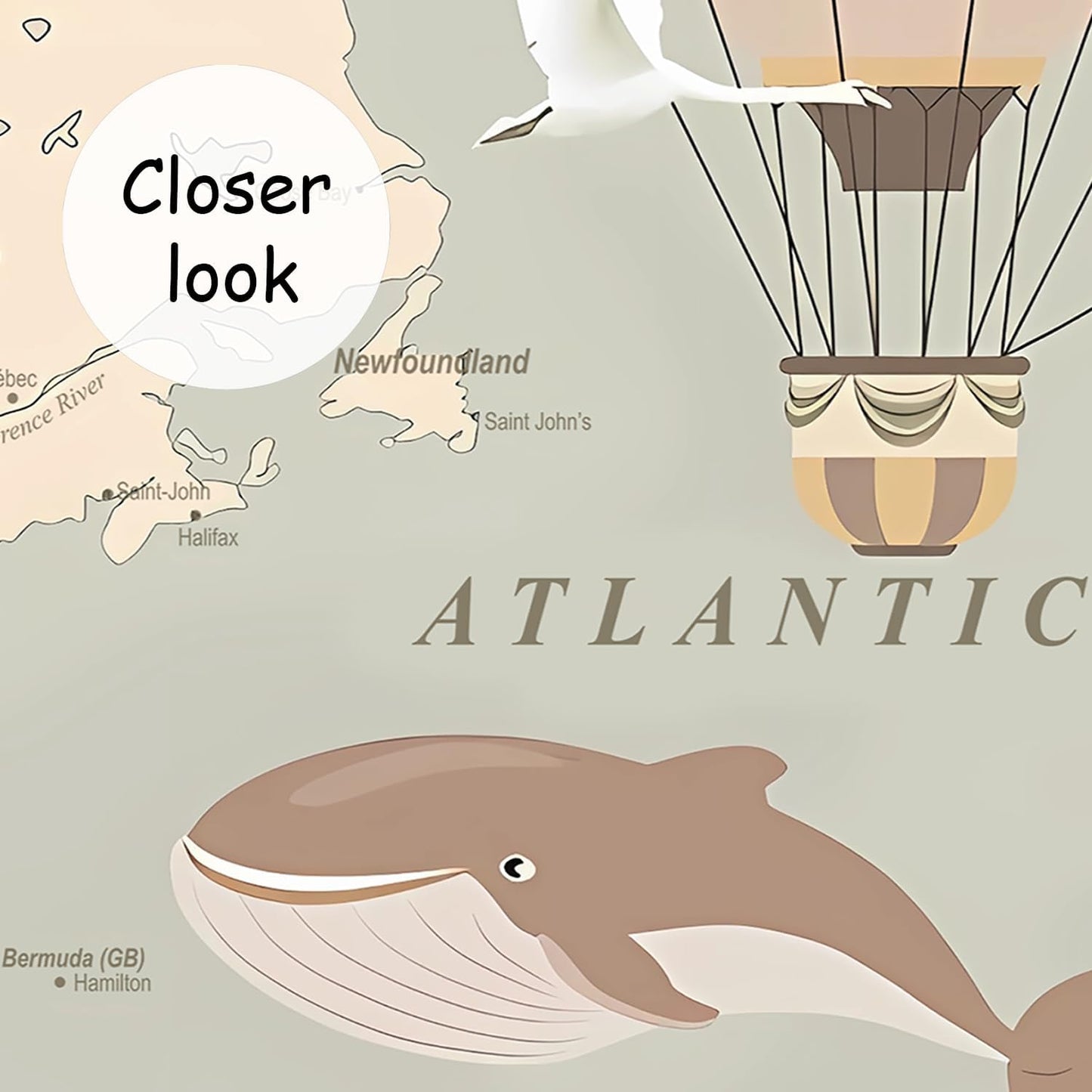 AFZEVEB-Vintage Animal Wallpaper Cartoon Aircraft Map Wall murals for Kids Room 136"x96"(Not Peel and Stick)