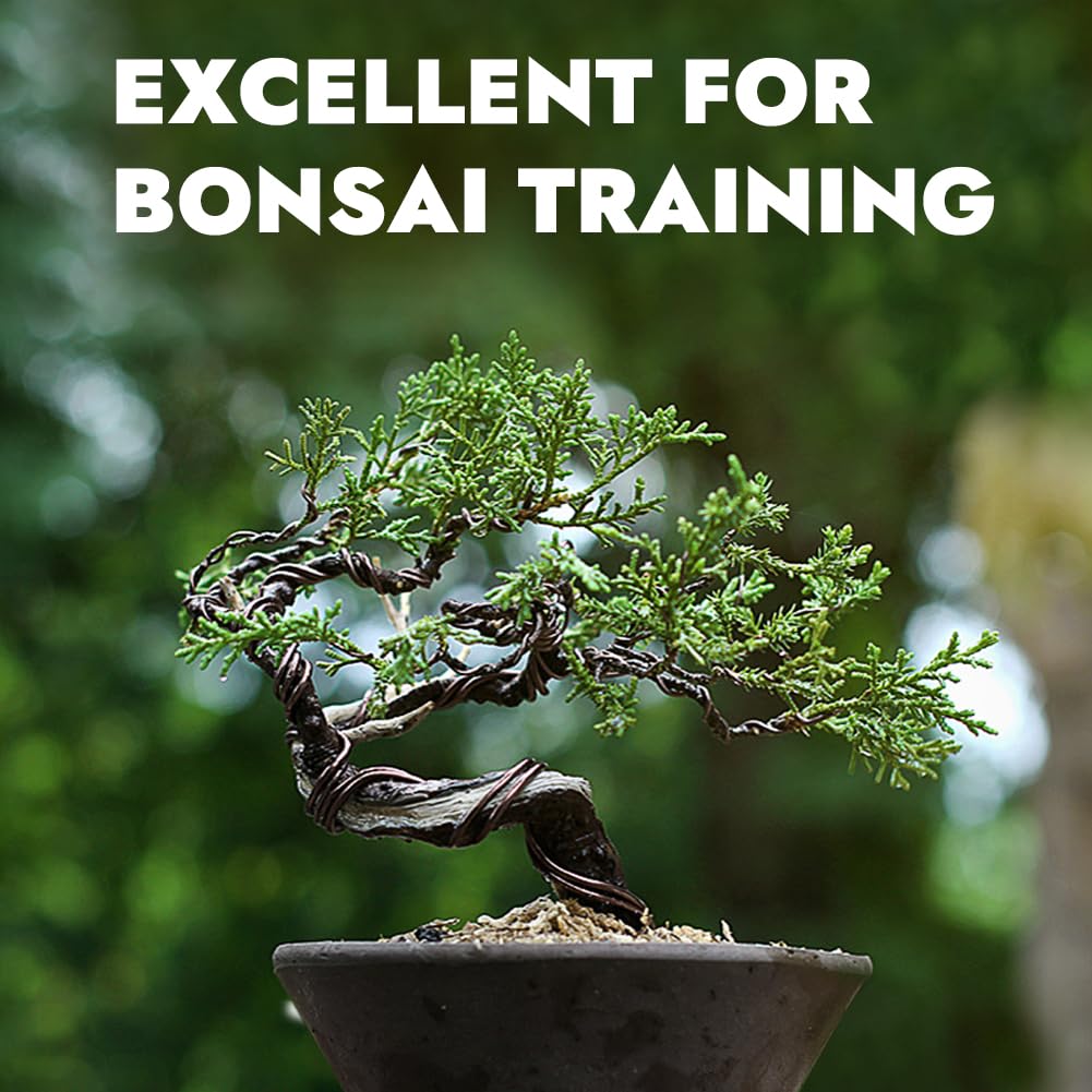 Tenn Well 12 Gauge Aluminum Wire, 100 Feet 2mm Bendable Craft Wire for Bonsai Training, Floral Making, Sculpting, Armature, Jewelry Making (Bronze)