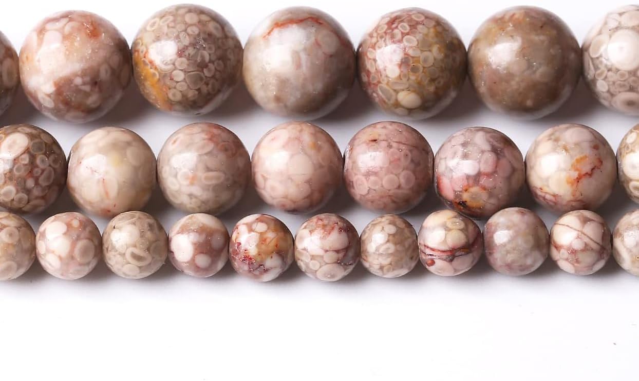 48PCS 8MM Natural Flowery Cowry Fossil Stone Beads Energy Healing Beads for DIY Jewelry Bracelet Necklace Making for Jewelry Making15Inch
