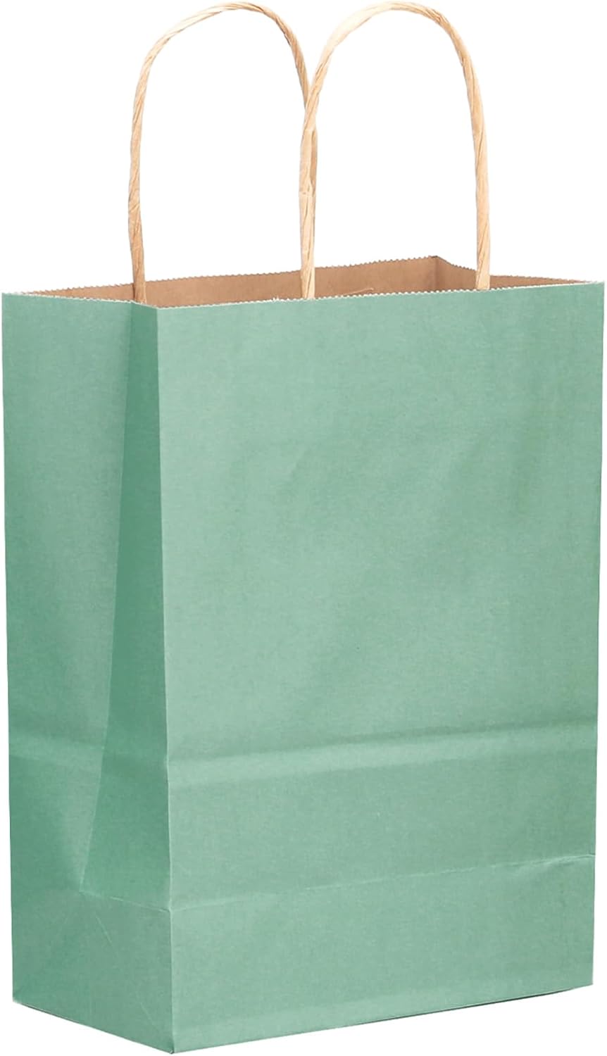qiqee 32-Packs Light Blue Paper Gift Bags with Handles Bulk Medium Size Gift Bags Multiple Uses