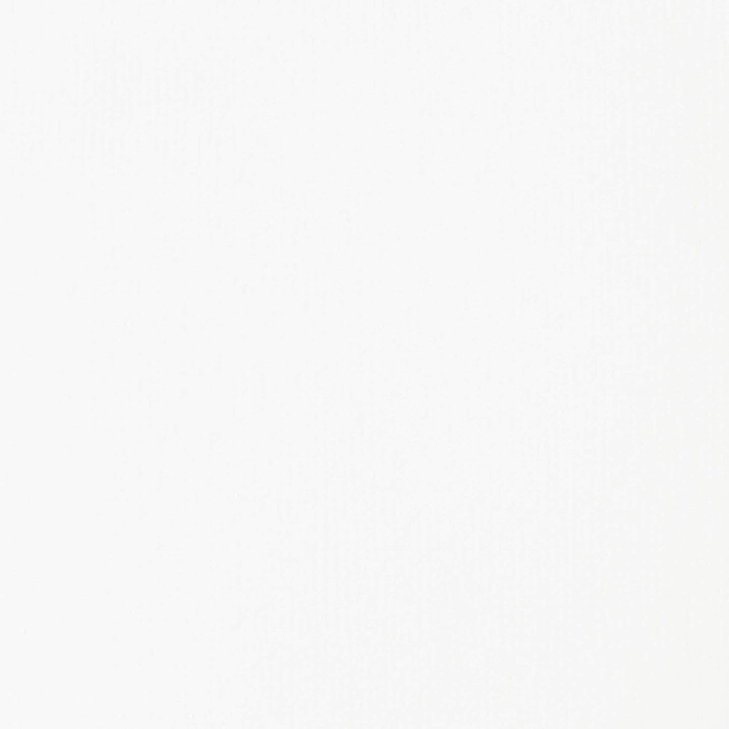 Liquitex BASICS Acrylic Paint, 250ml (8.5-oz) Tube, Titanium White + Liquitex BASICS Gesso Surface Prep Medium, 473ml (16-oz) Bottle, White