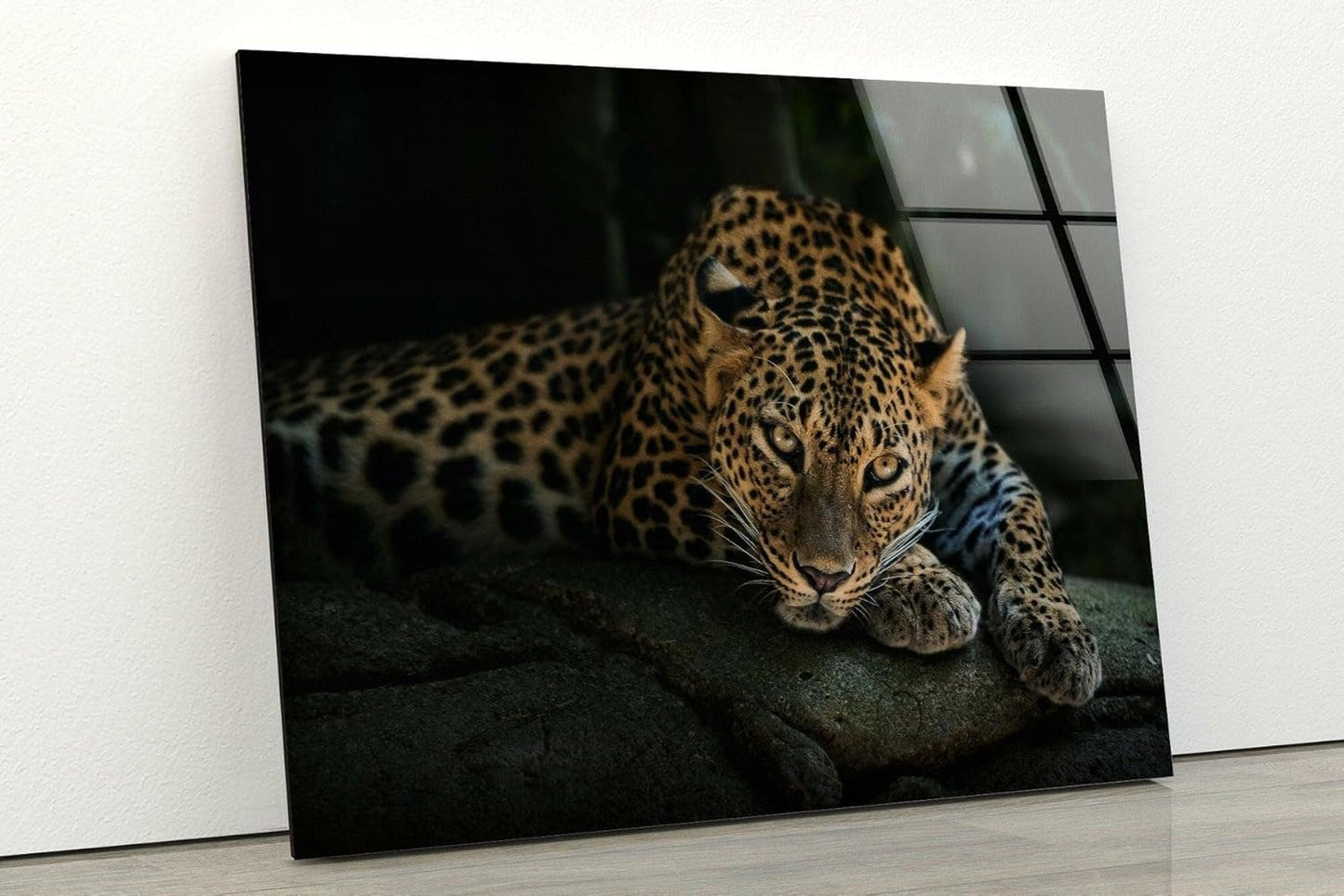 My Photostation.com Round 31,5'' Fierce Leopard Glass Wall ArtTempered Glass Printing Wall Decor Large Wall Art Wall Hangings