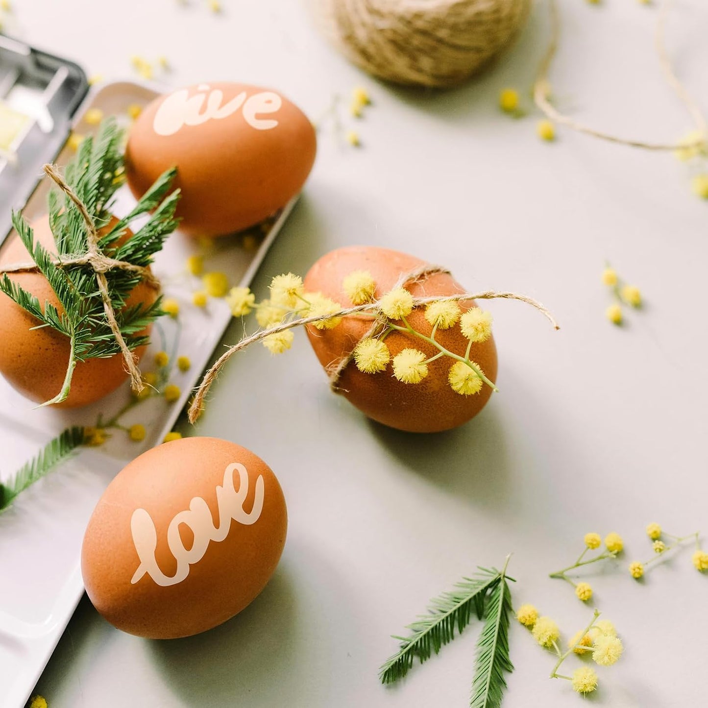 Ant Smart Adhesive Permanent Vinyl Compatible with Cricut Explore and Maker Series Without Cutting Mats, Create DIY Projects, Decals, Stickers & More (Transparent, 13inch x 30ft)