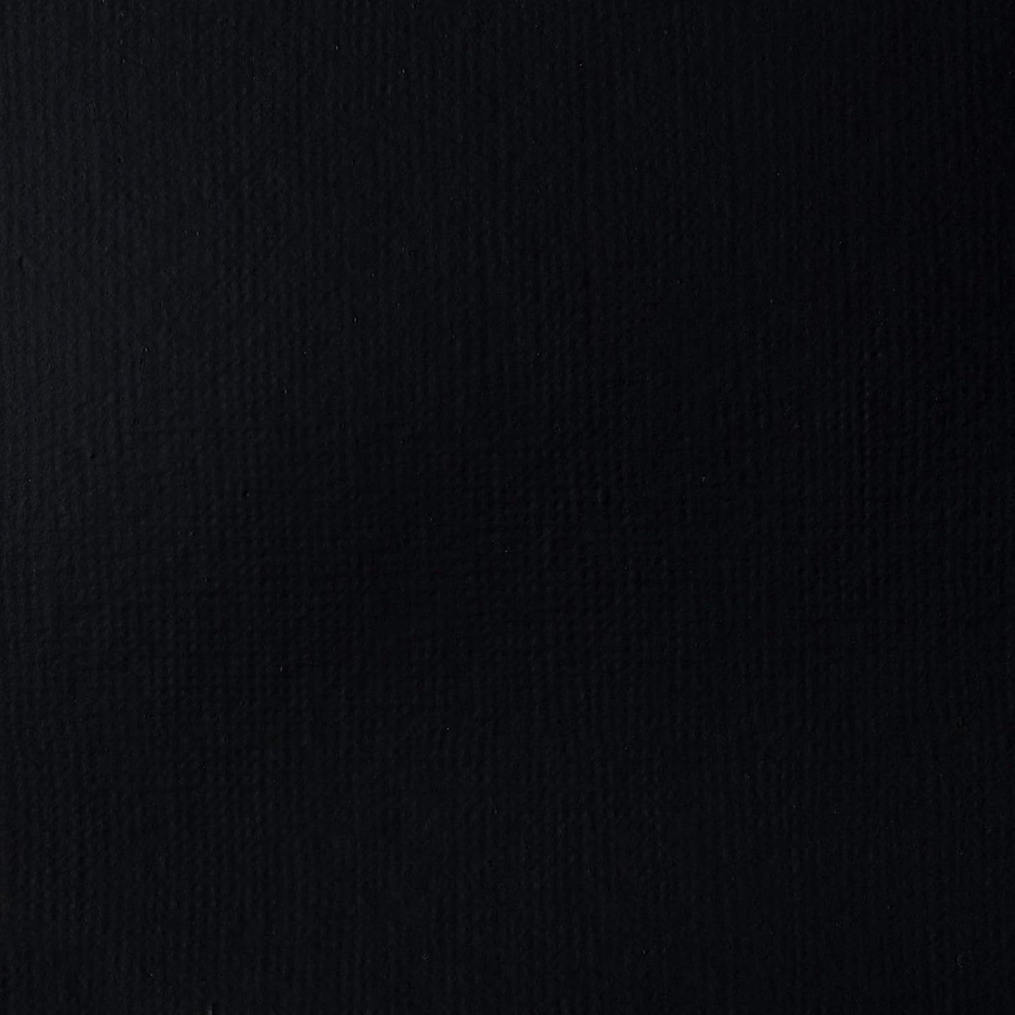 Liquitex BASICS Acrylic Paint, 250ml (8.5-oz) Tube, Ivory Black