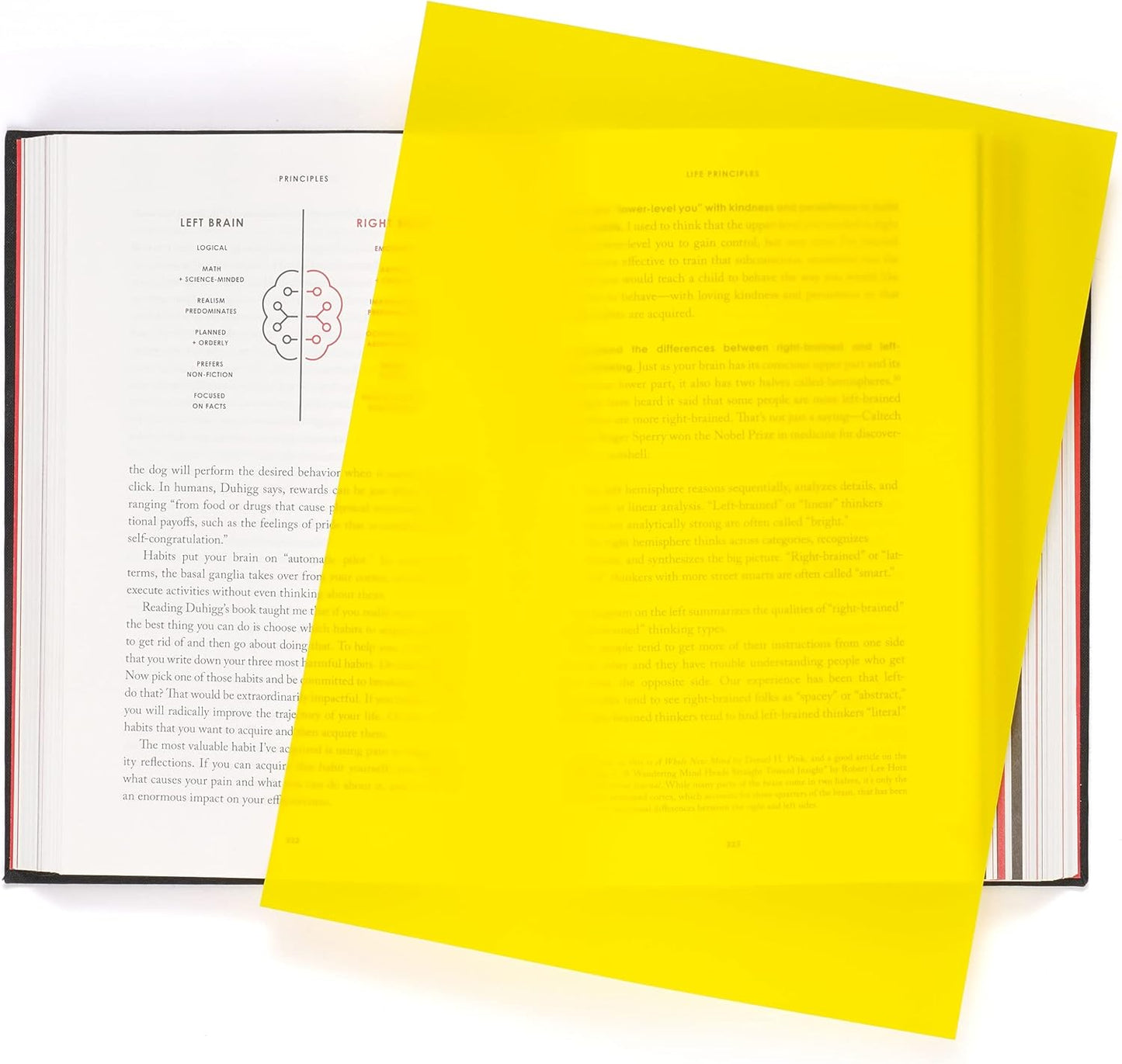 Quotidian Lemon Flat US Letter Translucent Vellum Paper Printable Sheets 8.5" x 11" (21.6 x 27.9cm) Pack of 50 - Sketching Drawing Drafting Tracing