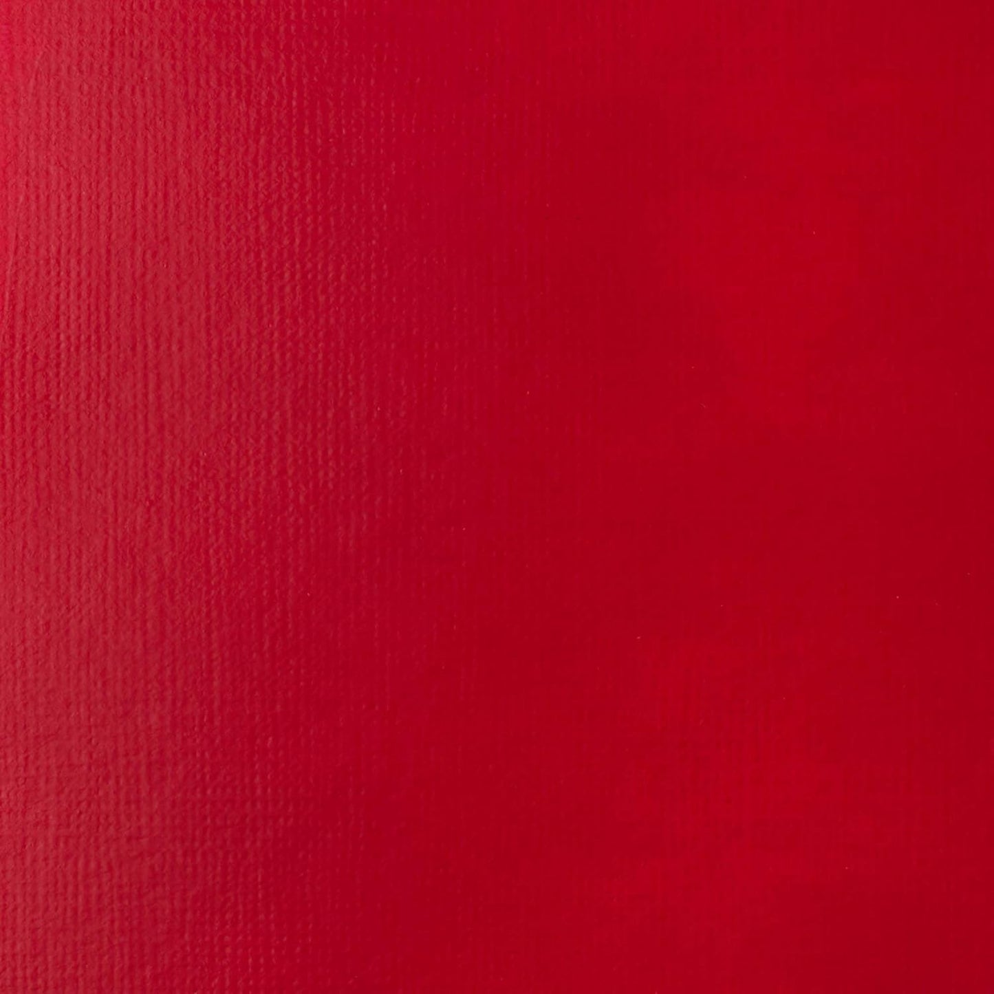 Liquitex BASICS Acrylic Paint, 250ml (8.5-oz) Tube, Primary Red