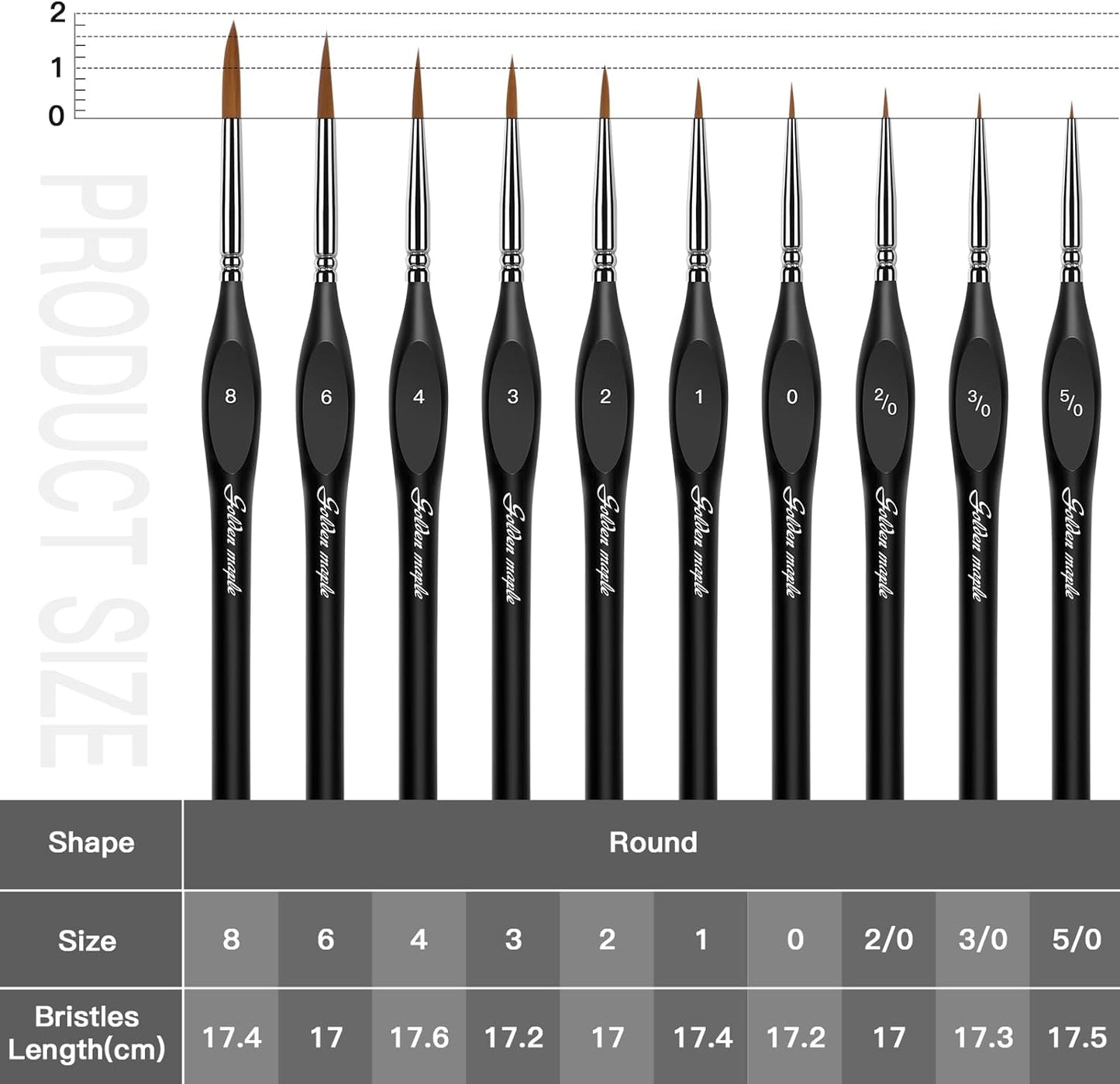 Golden Maple Detail Paint Brushes Set 10pcs Miniature Brushes for Fine Detailing & Art Painting - Acrylic, Watercolor, Oil, Models