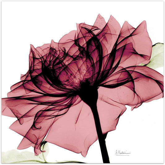 Empire Art Direct Frameless Free Floating Tempered Glass Panel Graphic Wall Art Ready to Hang, 24" x 24", Chianti Rose I, Red Flower Art