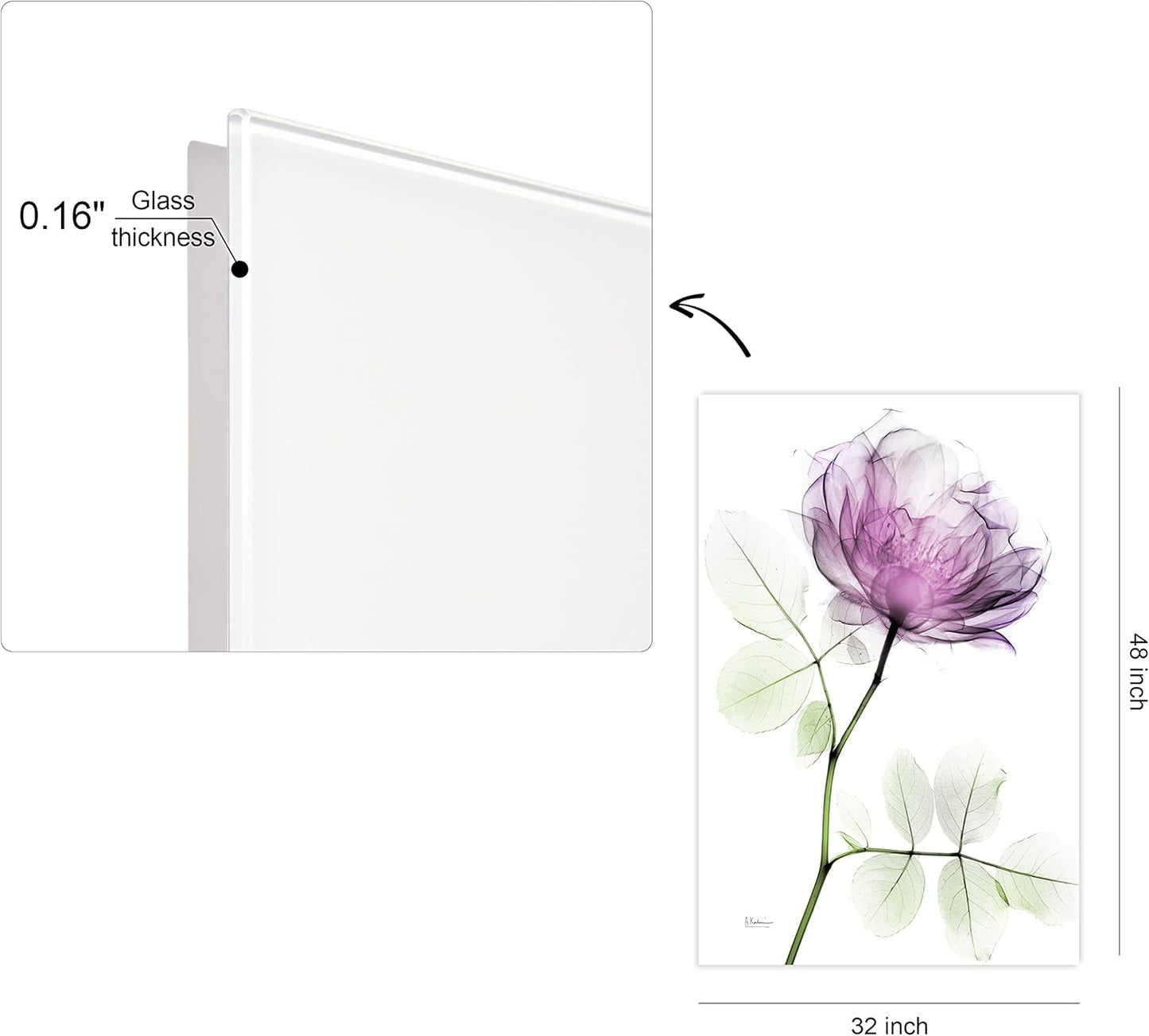 Empire Art Direct FramelessTempered Glass Wall Art, Decorative Art for Wall, X-ray Pink Rose Print, Living Room, Bedroom, Home Office, Ready to Hang, 48" x 32"