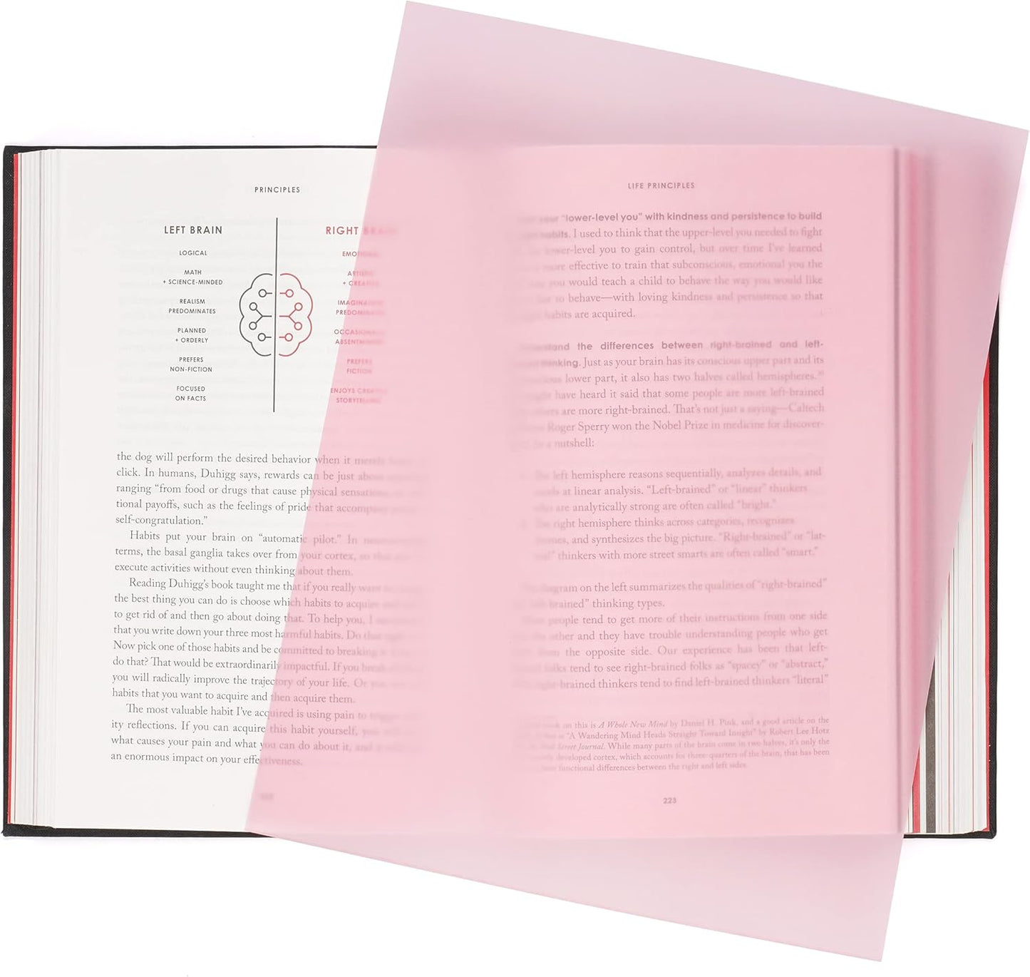 Quotidian Peach Flat US Letter Translucent Vellum Paper Printable Sheets 8.5" x 11" (21.6 x 27.9cm) Pack of 50 - Sketching Drawing Drafting Tracing