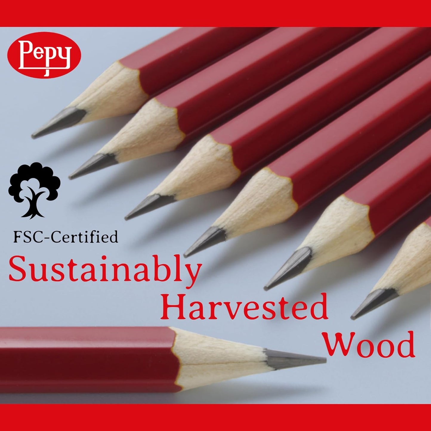 Pepy Graphite Professional Drawing Pencils - Set of 12 8H Pre-Sharpened Black Lead Pencils; Perfect for Drawing, Sketching and Shading, Graphic and Fine Art