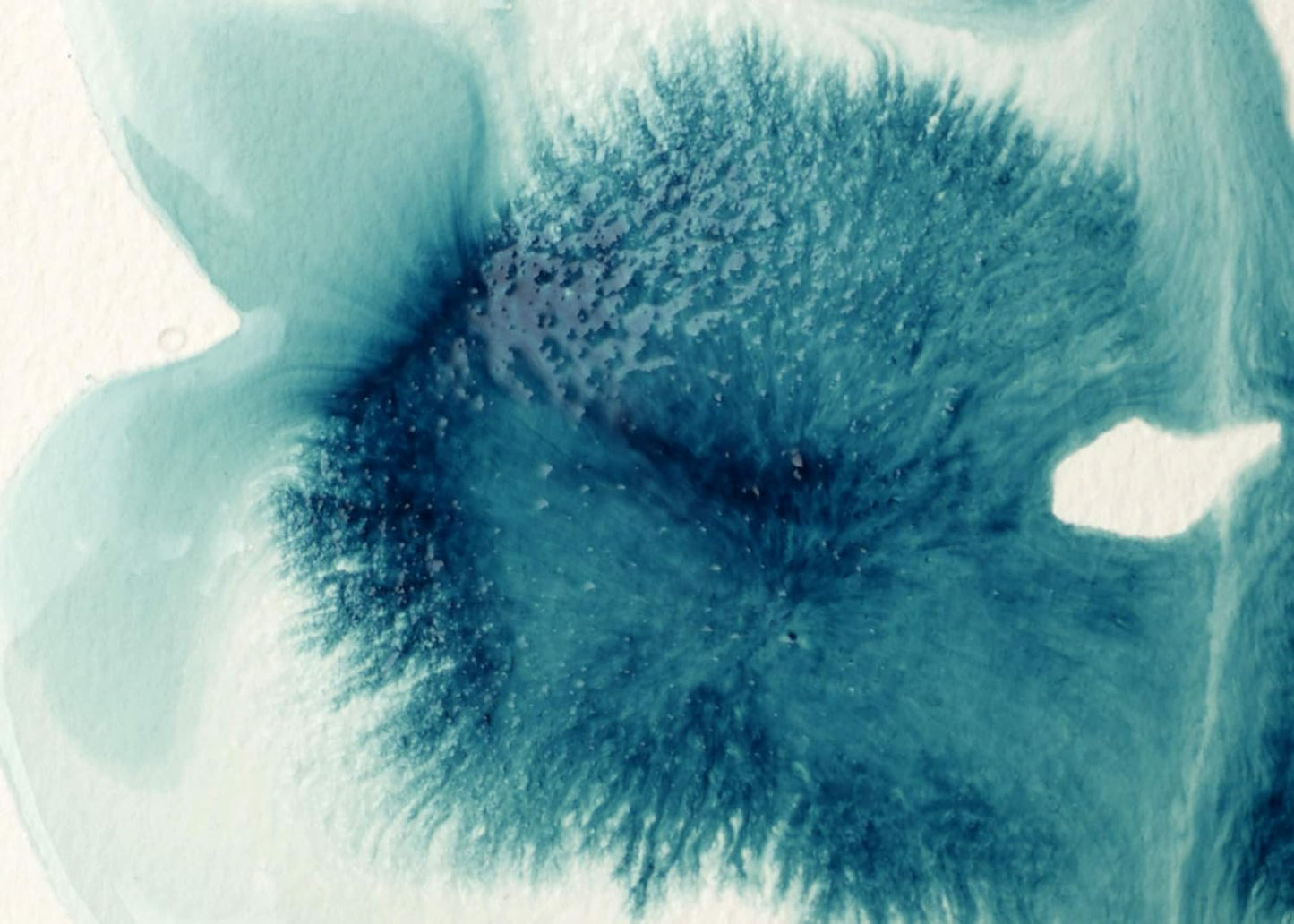 Liquitex Professional Effects Medium, 118ml (4-oz), Flow Aid