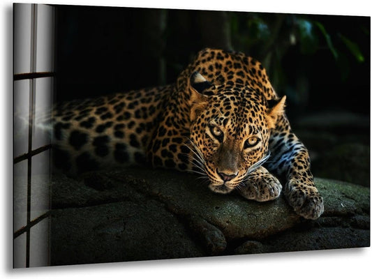 My Photostation.com 43Wx27H'' Fierce Leopard Glass Wall ArtTempered Glass Printing Wall Decor Large Wall Art Wall Hangings