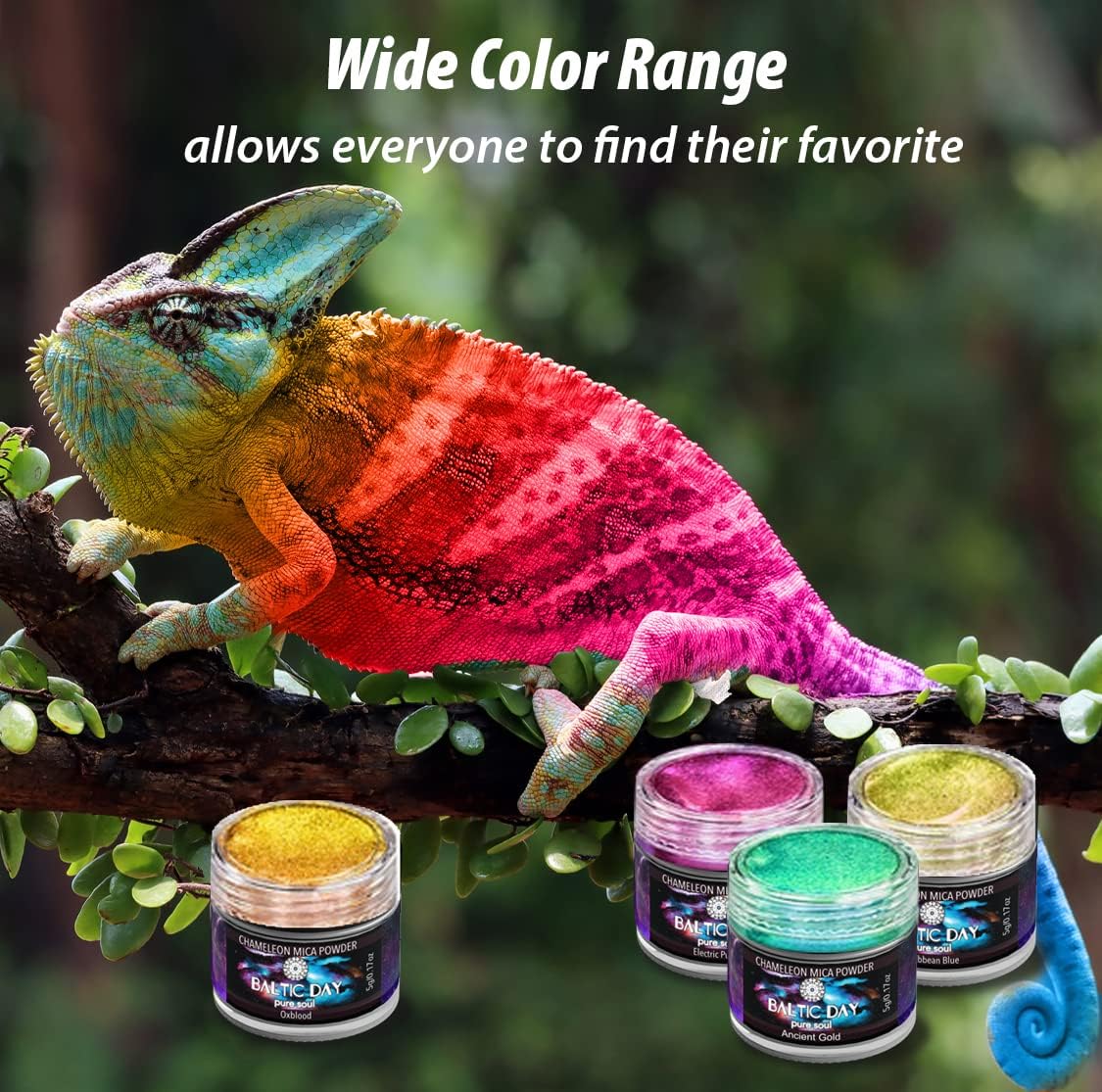 BALTIC DAY - Chameleon Mica Powder, 20 x 5g Jars of Color Shift Mica Powder Set - Epoxy Resin Color Pigment - Chameleon Powder - Holographic Mica Powder for Resin