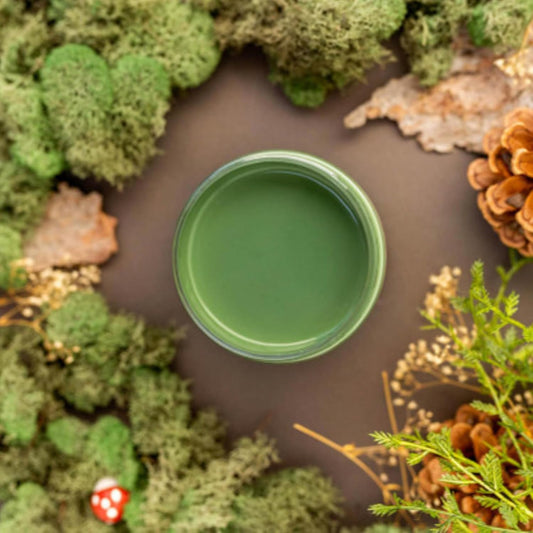 Dixie Belle Paint Company Chalk Finish Furniture Paint - English Ivy (1 Gallon - 128oz) - Matte Muted Green Chic Chalk Mineral DIY Furniture Paint