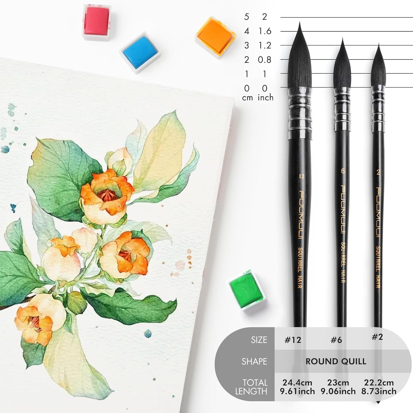 3PCS Squirrel Hair Watercolor Brushes, Fuumuui Professional Mop Round Quill Detail Fine Tip Watercolor Paint Brush Set for Water Color Gouache Ink Painting - Sizes #2, 6, 12