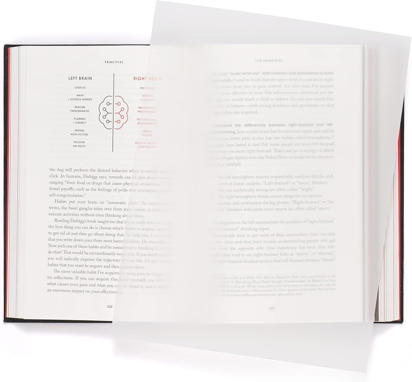 Quotidian White Flat US Letter Translucent Vellum Paper Printable Sheets 8.5" x 11" (21.6 x 27.9cm) Pack of 50 - Sketching Drawing Drafting Tracing