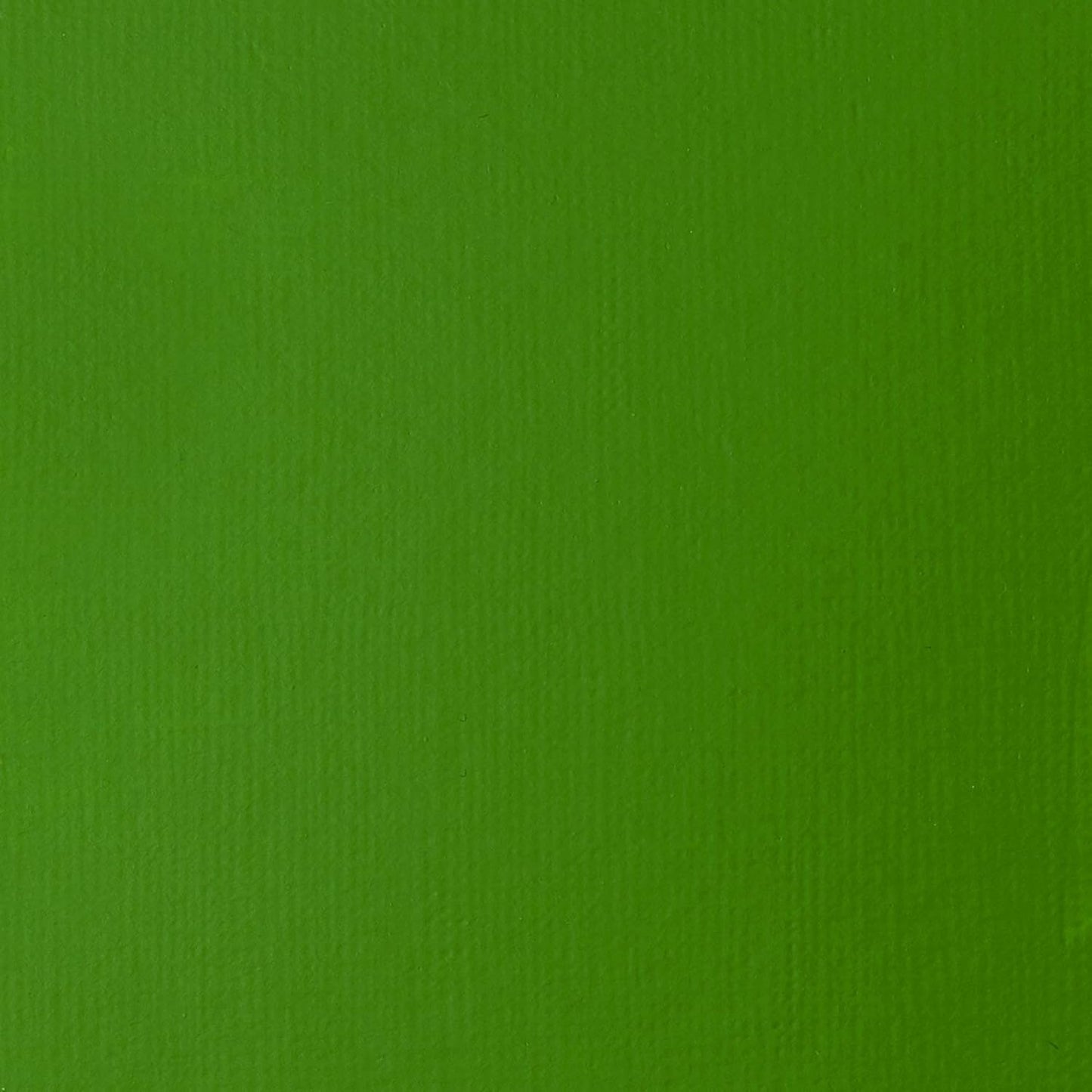 Liquitex BASICS Acrylic Paint, 250ml (8.5-oz) Tube, Light Green Permanent