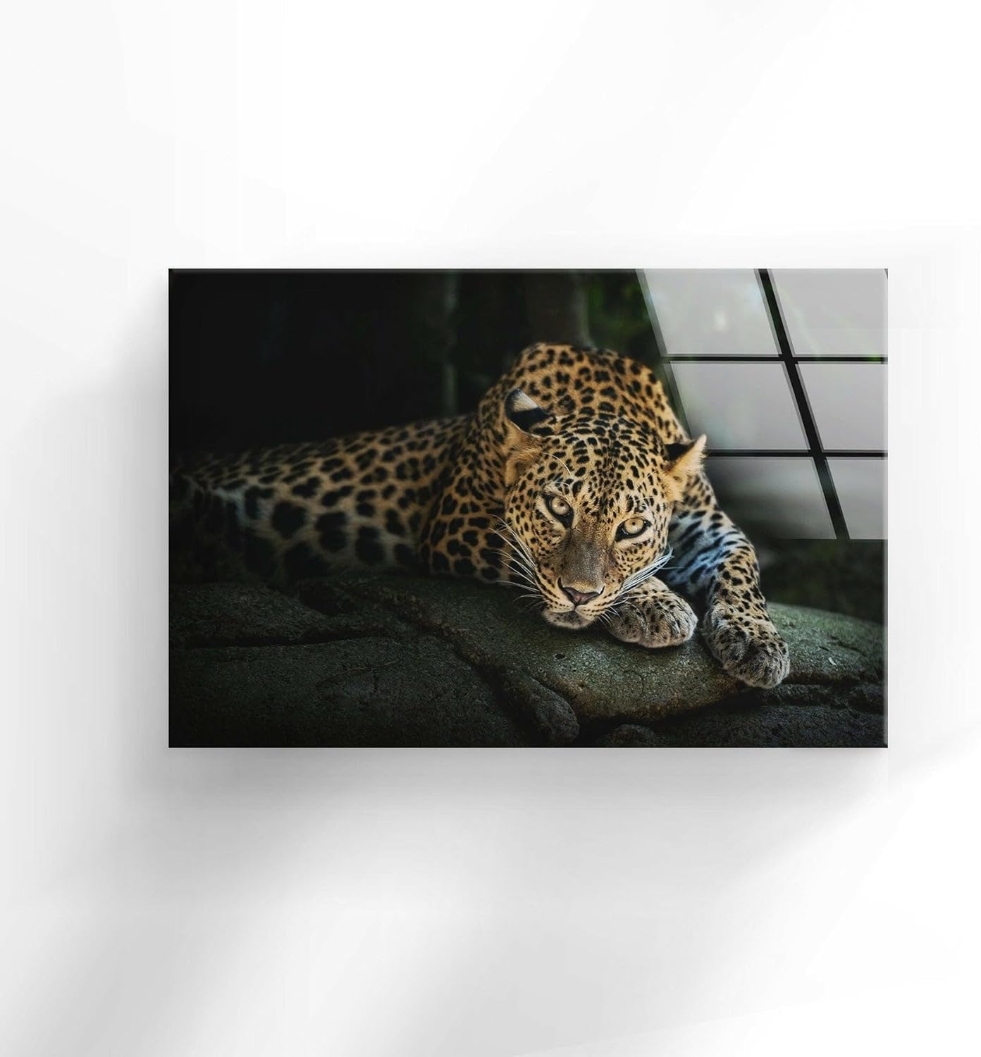 My Photostation.com 48Wx32H'' Fierce Leopard Glass Wall ArtTempered Glass Printing Wall Decor Large Wall Art Wall Hangings