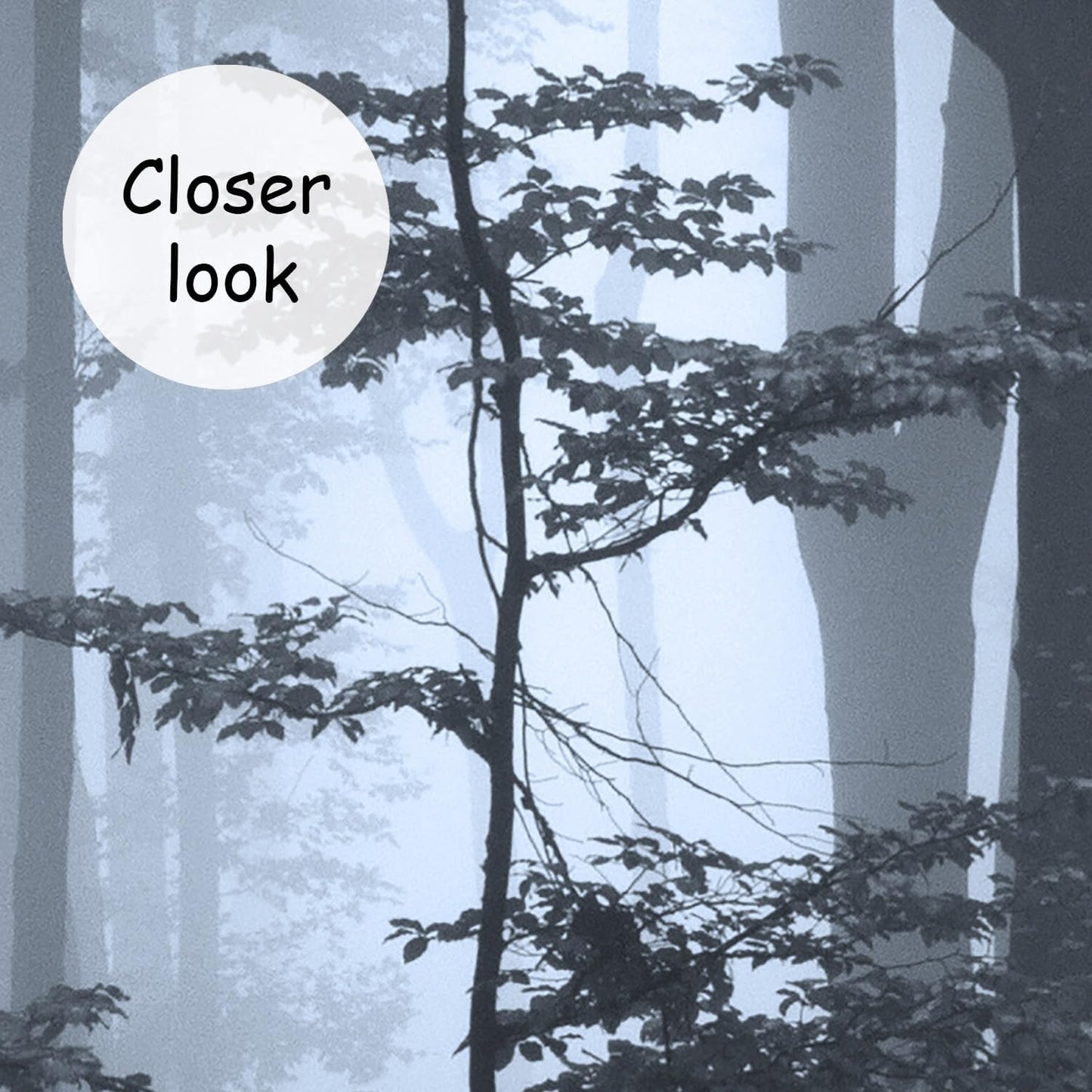 AFZEVEB-Foggy Dark Forest Wallpaper Landscape Tree Wall murals for Bedroom 136"x96"(Not Peel and Stick)