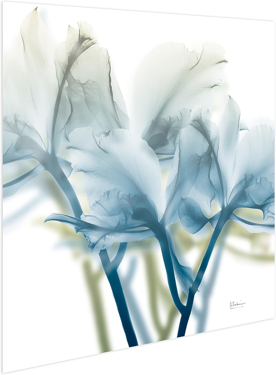 Empire Art Direct Frameless Free Floating Tempered Glass Panel Graphic Wall Art Ready to Hang, 24" x 24", Unfocused Beauty 3