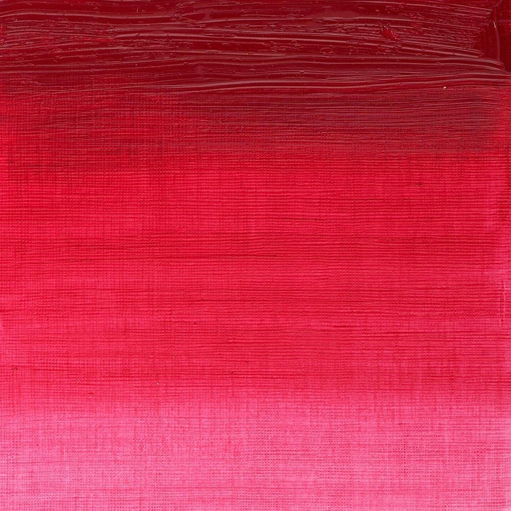 Winsor & Newton Winton Oil Color, 37ml (1.25-oz) Tube, Permanent Rose