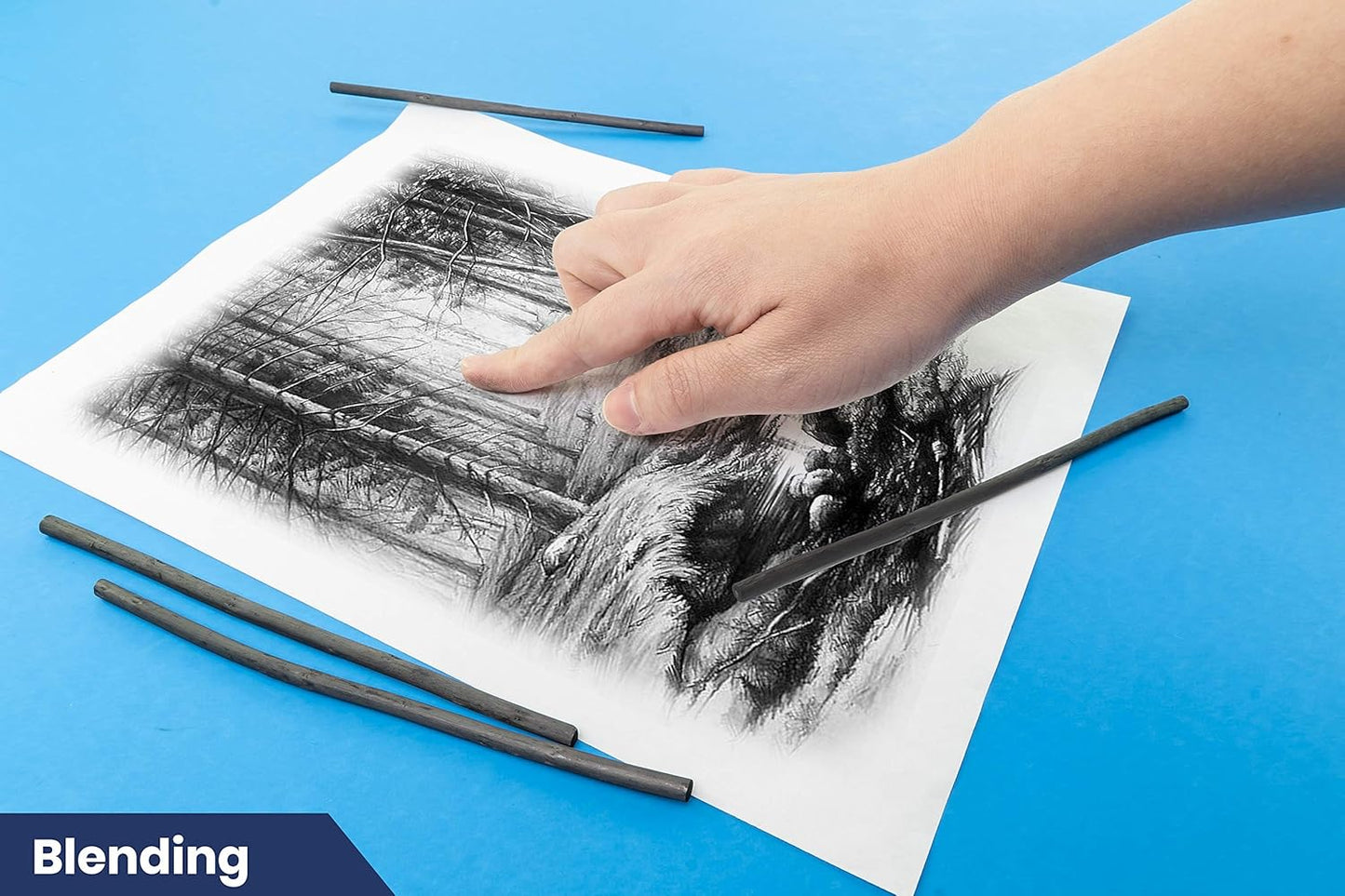 Pacific Arc Artist Vine Charcoal, Hard, Black 12 Pieces, Artist Vine Charcoal Sticks, Hard and Smooth Drawing Charcoal