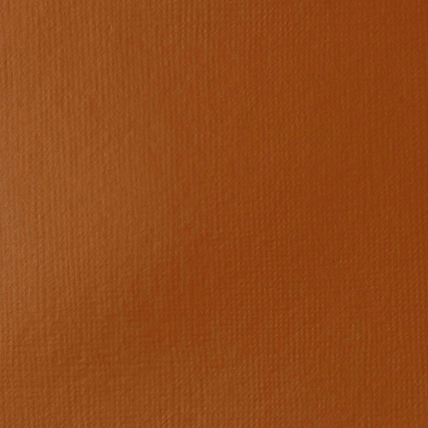 Liquitex BASICS Acrylic Paint, 400ml (13.5-oz) Bottle, Raw Sienna