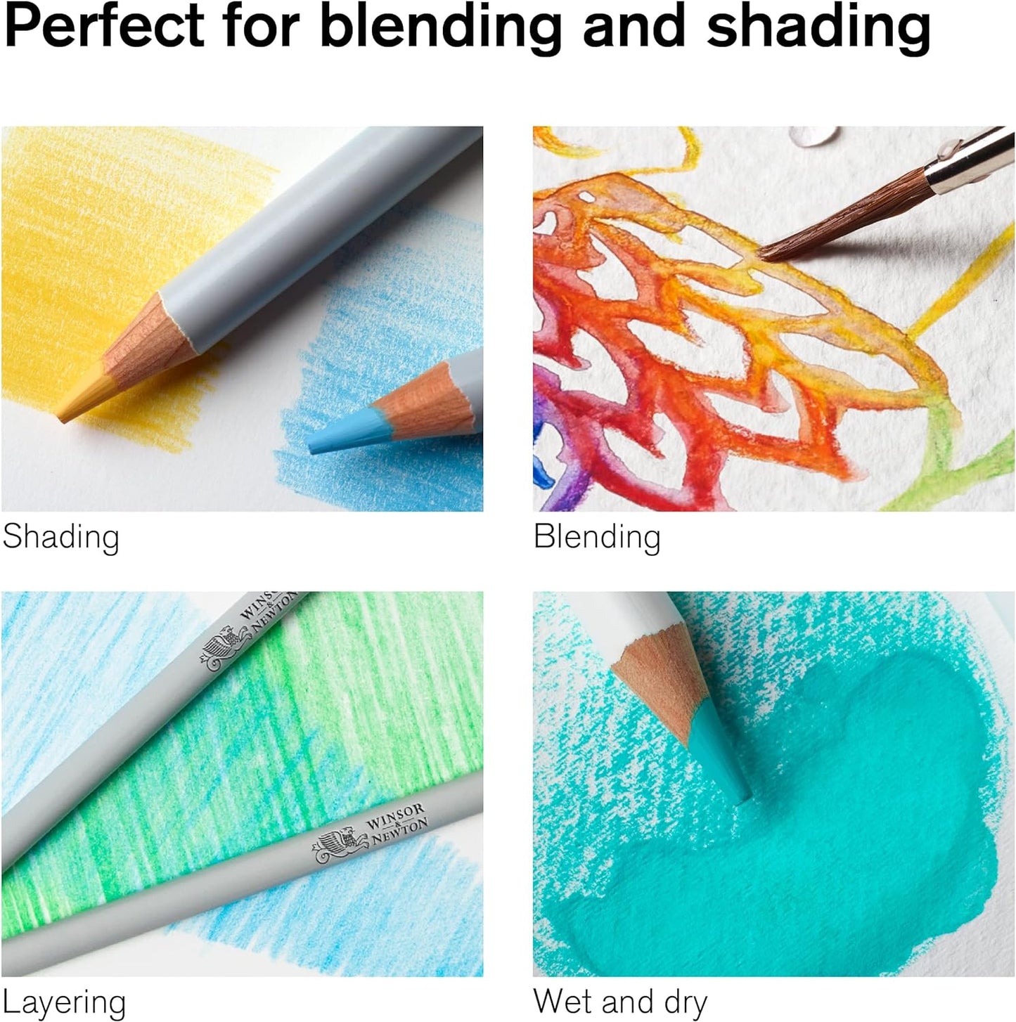 Winsor & Newton Studio Collection Artist Pencils, Watercolor Pencils, Set of 24