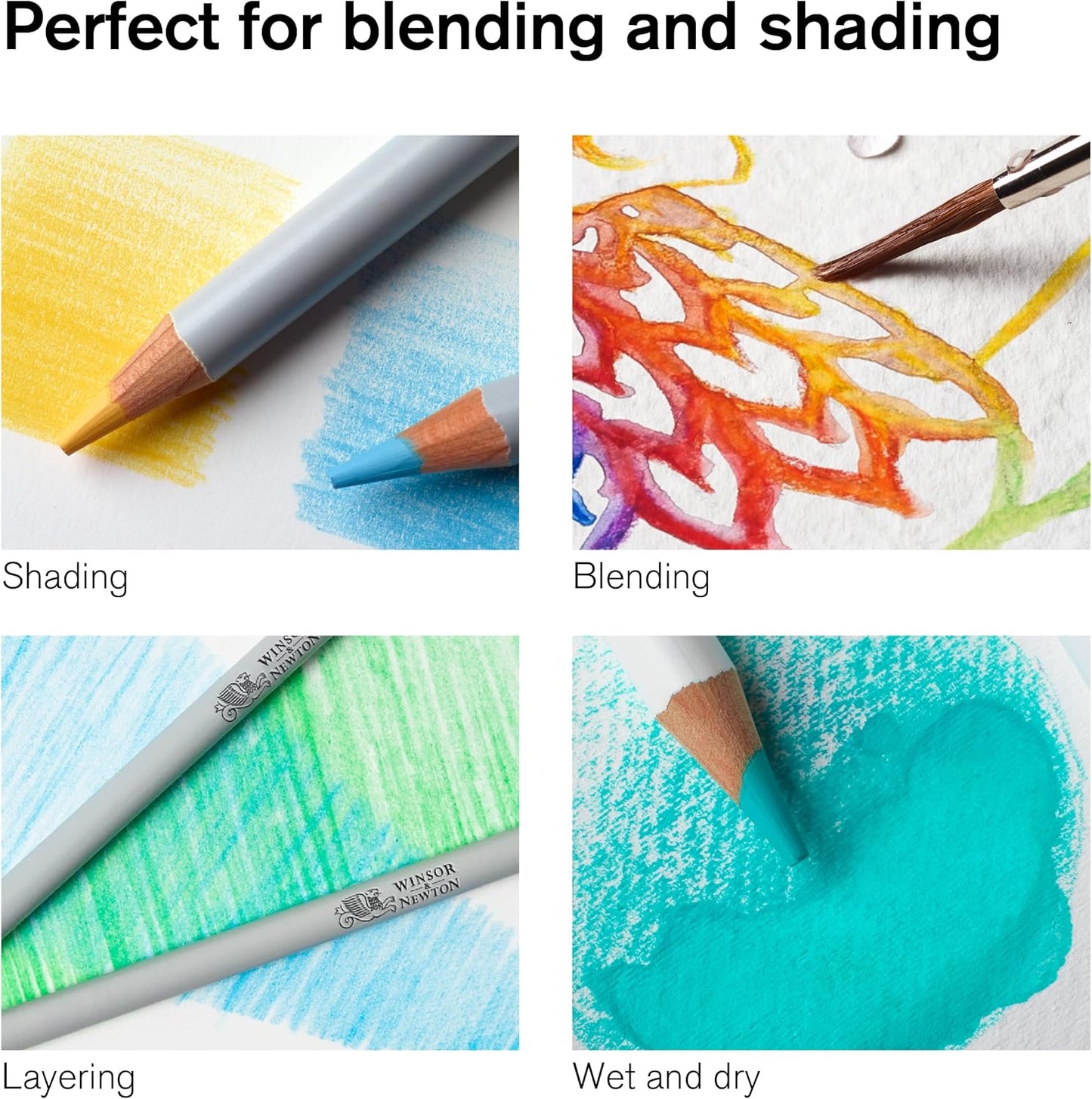 Winsor & Newton Studio Collection Artist Pencils, Watercolor Pencils, Set of 12