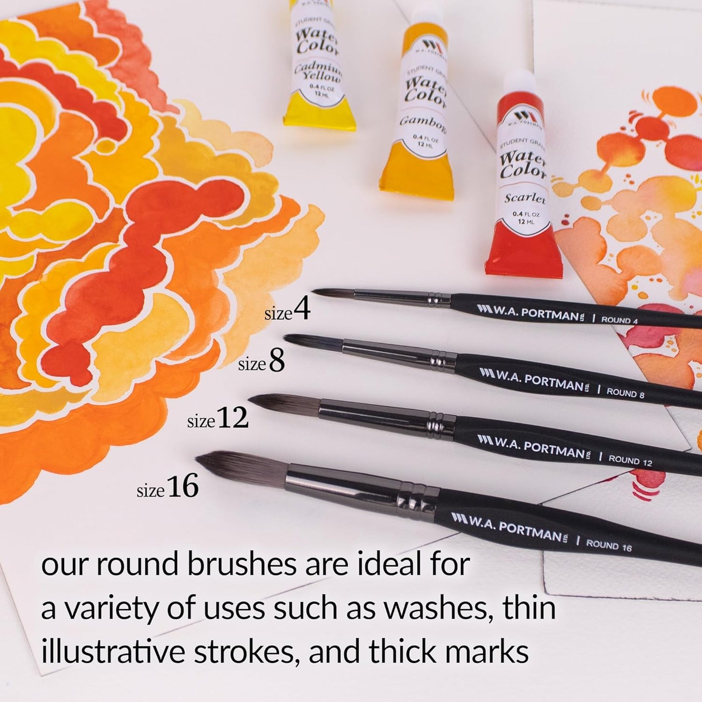 WA Portman Round Acrylic and Watercolor Paint Brushes 4pc Set - 100% Vegan, Cruelty-Free Round Paint Brushes for Acrylic Painting and Watercolor Painting with Triangular Comfort Grip