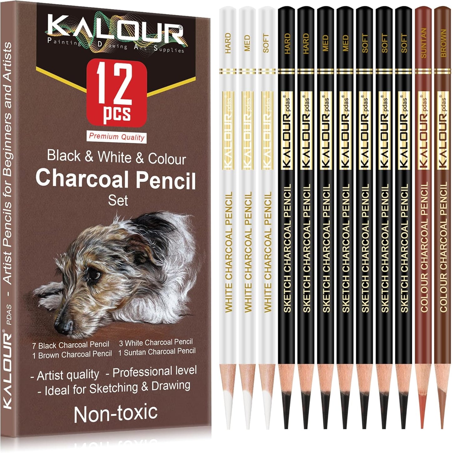 KALOUR Pro Colored Charcoal Drawing Set,12 Pieces Pastel Chalk Pencils for Sketching, Shading, Blending, Portrait, Black White Charcoal for Beginners & Artists