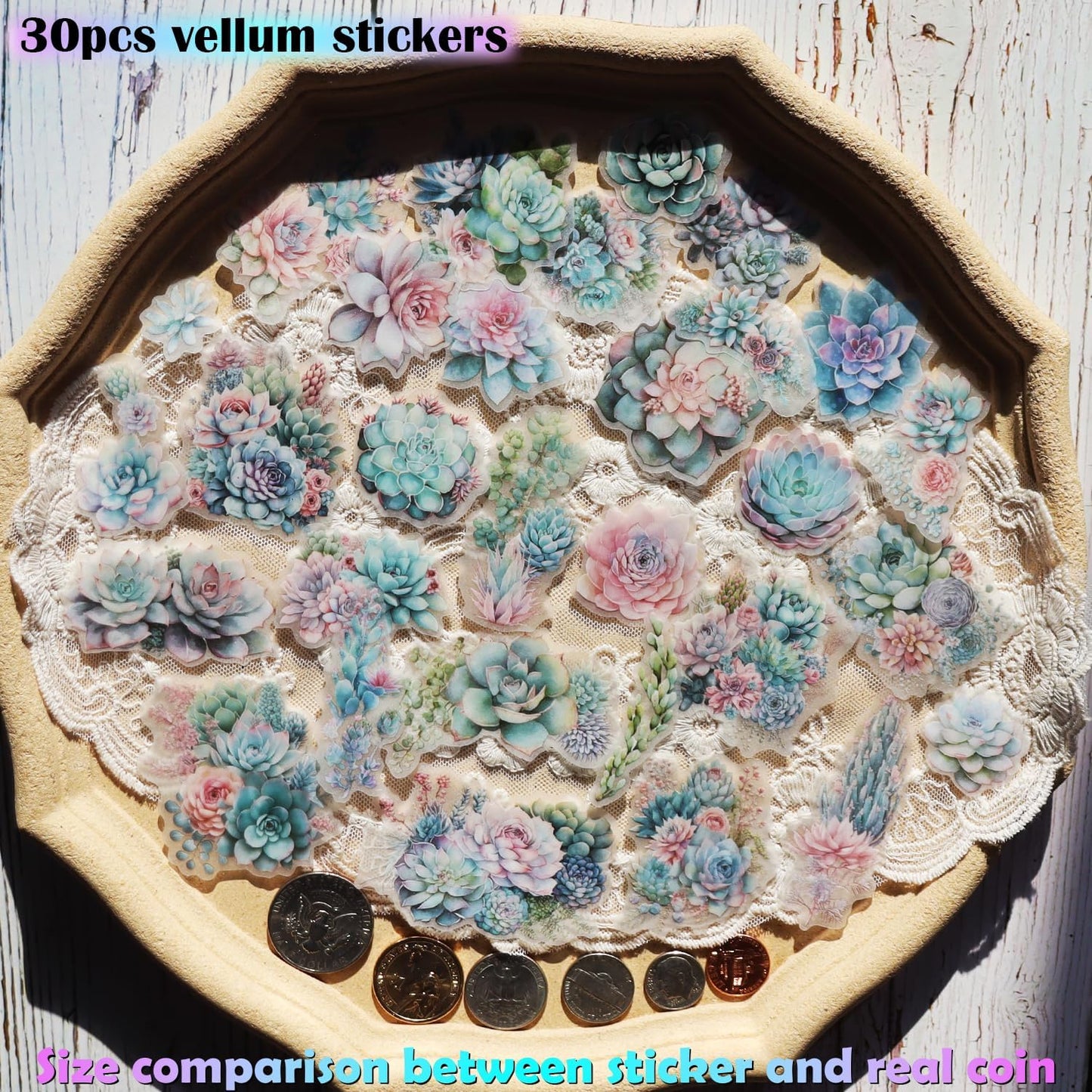 Vintage Vellum Stickers Floral Plants Elements Scrapbooking Supplies Flowers Botanic Natural Translucent Paper Self-Adhesive Junk-Journal Items (Succulent)