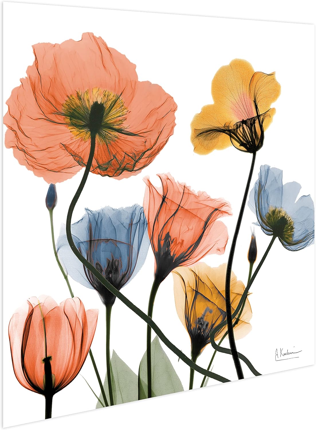 Empire Art Direct Frameless Free Floating Tempered Glass Panel Graphic Wall Art Ready to Hang, 24" x 24", Flowers and Ferns, Orange and Blue Flower