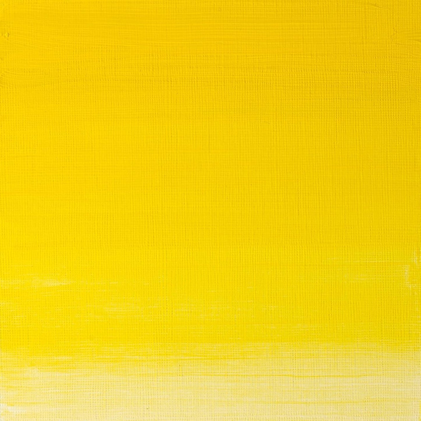 Winsor & Newton Artists' Oil Color, 37ml (1.25 oz) Tube, Winsor Yellow
