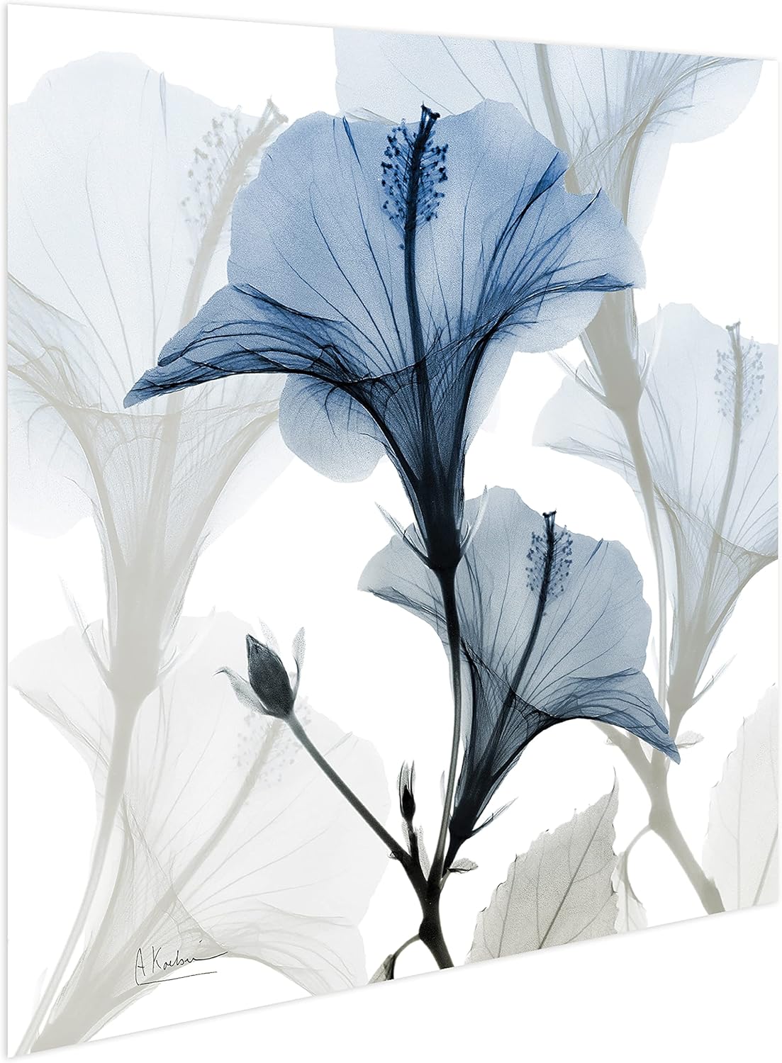 Empire Art Direct Frameless Free Floating Tempered Glass Panel Graphic Wall Art Ready to Hang, 24" x 24", Blue X-ray Floral, Flower wall art