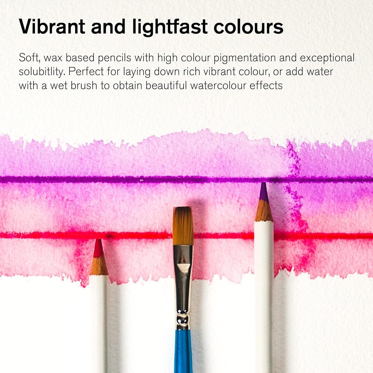 Winsor & Newton Studio Collection Artist Pencils, Watercolor Pencils, Set of 12