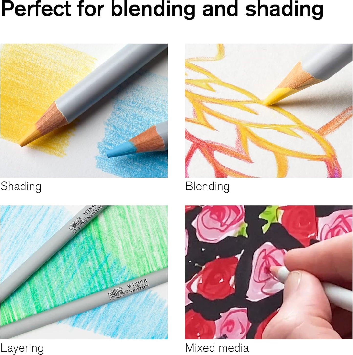 Winsor & Newton Studio Collection Artist Pencils, Color Pencils, Set of 24