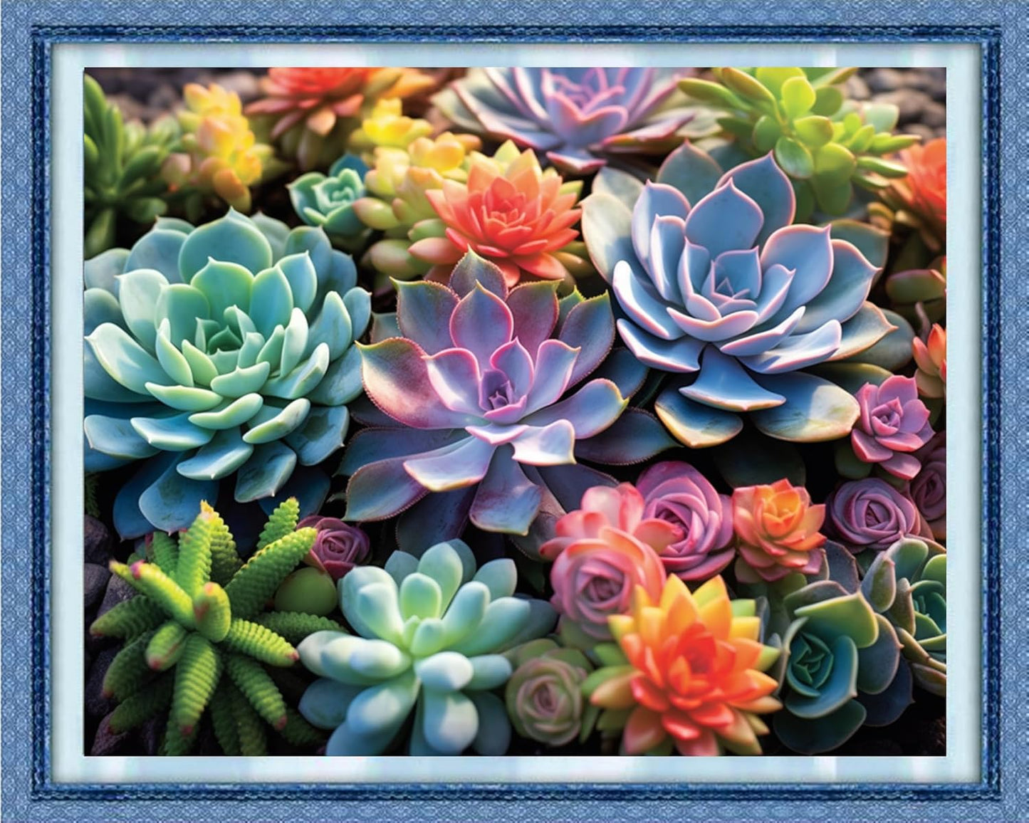 Dimxvean Stamped Cross Stitch Kits,Cross Stitch Kits for Adults Beginners,Embroidery Kits Full Range of Cross Stitch Stamped Kits Needlepoint Kits Cross Stitch Patterns-Succulent Plants 16x20 inch