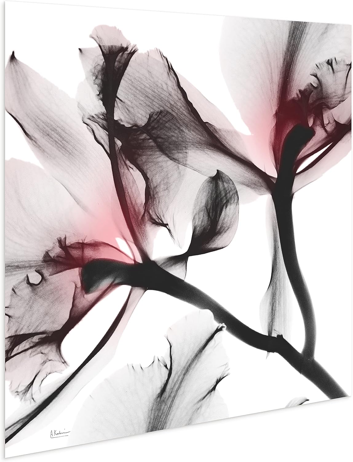 Empire Art Direct Frameless Free Floating Tempered Glass Panel Graphic Wall Art Ready to Hang, 24" x 24", Coral Luster