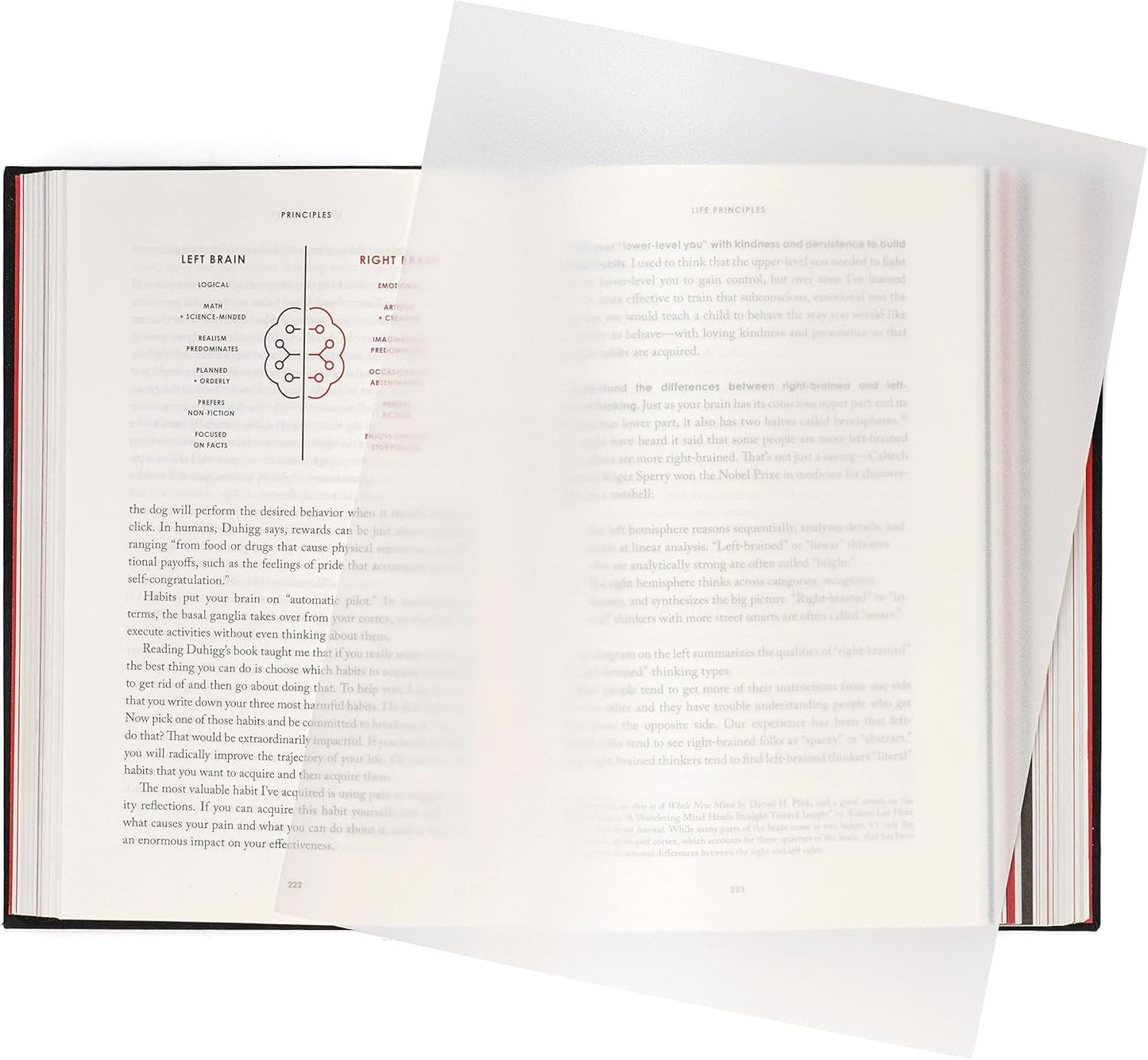 Quotidian Metallic Silver Flat US Letter Translucent Vellum Paper Printable Sheets 8.5" x 11" (21.6 x 27.9cm) Pack of 50 - Sketching Drawing Drafting Tracing