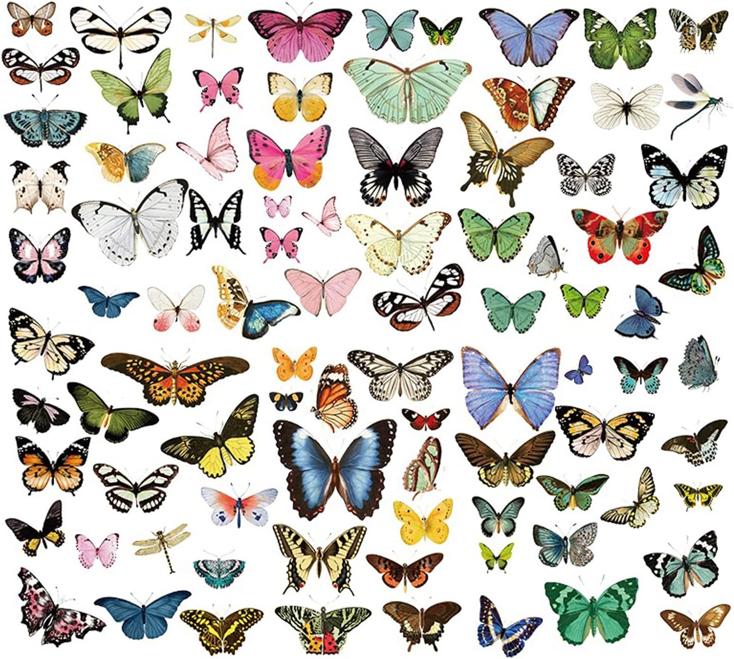 Vintage Vellum Stickers Floral Plants Elements Scrapbooking Supplies Flowers Botanic Natural Translucent Paper Self-Adhesive Junk-Journal Items (Little Butterfly)