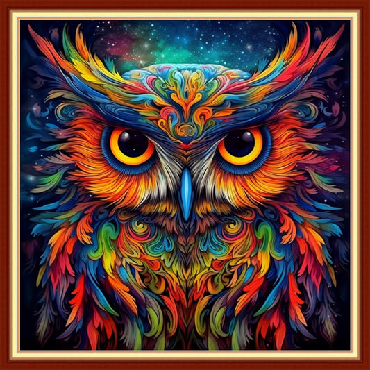 DMCVIVR Stamped Cross Stitch Kits for Adults Beginners Embroidery Kits 11CT Needlepoint Kits Cross Stitch Patterns Embroidery Patterns-Colorful Owl 18x18 inch