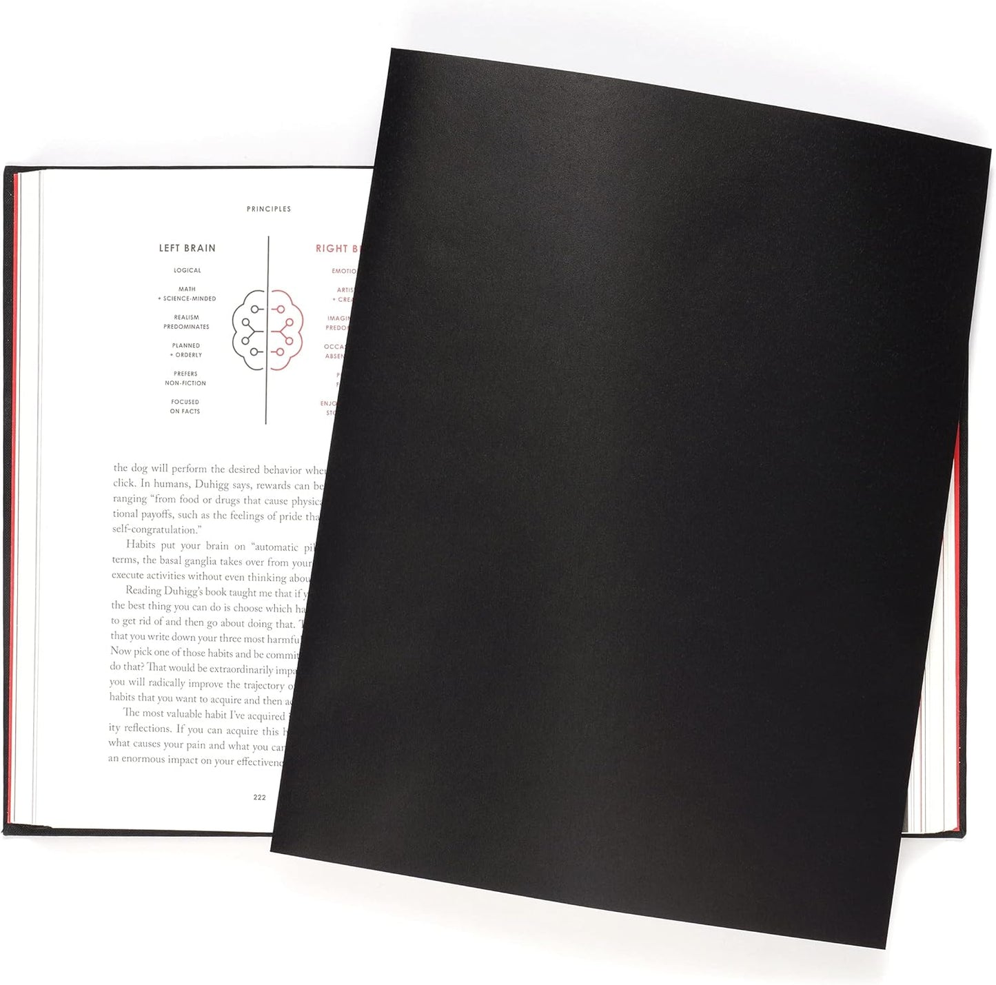 Quotidian Charcoal Flat US Letter Translucent Vellum Paper Printable Sheets 8.5" x 11" (21.6 x 27.9cm) Pack of 50 - Sketching Drawing Drafting Tracing