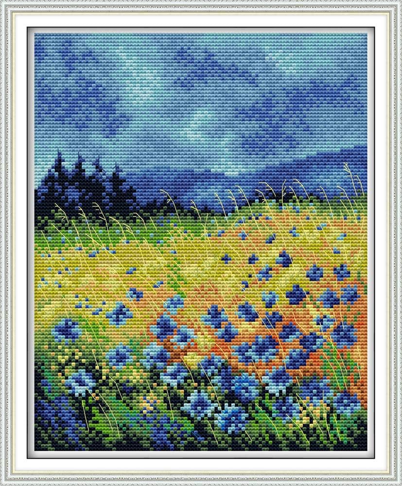 Maydiyer 11CT Stamped Cross Stitch Kits Pre-Printed Embroidery Kit Flowers Pattern for Girls Needlework Sets-Beautiful Flowers (2) 13×15.3 inch